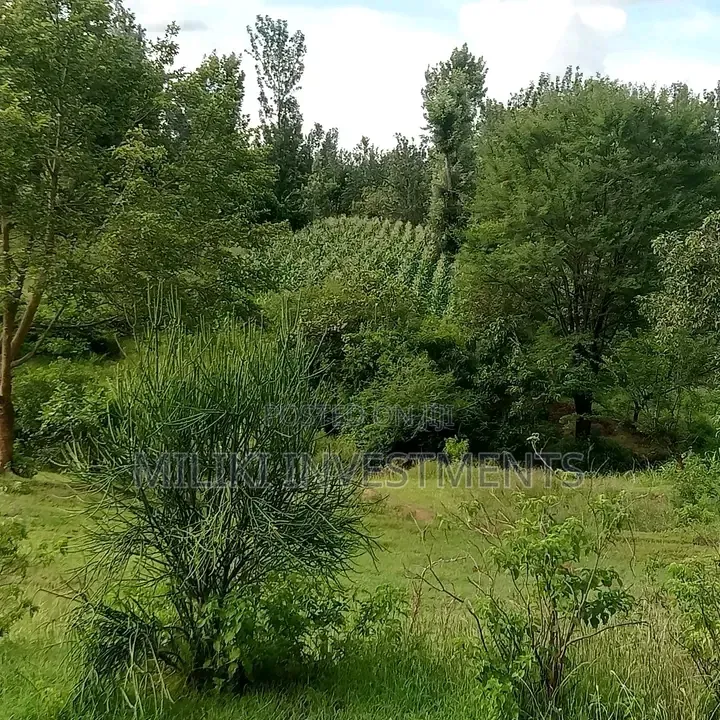 1 Acre on Sale Murang'a -Gatanga in Gatanga