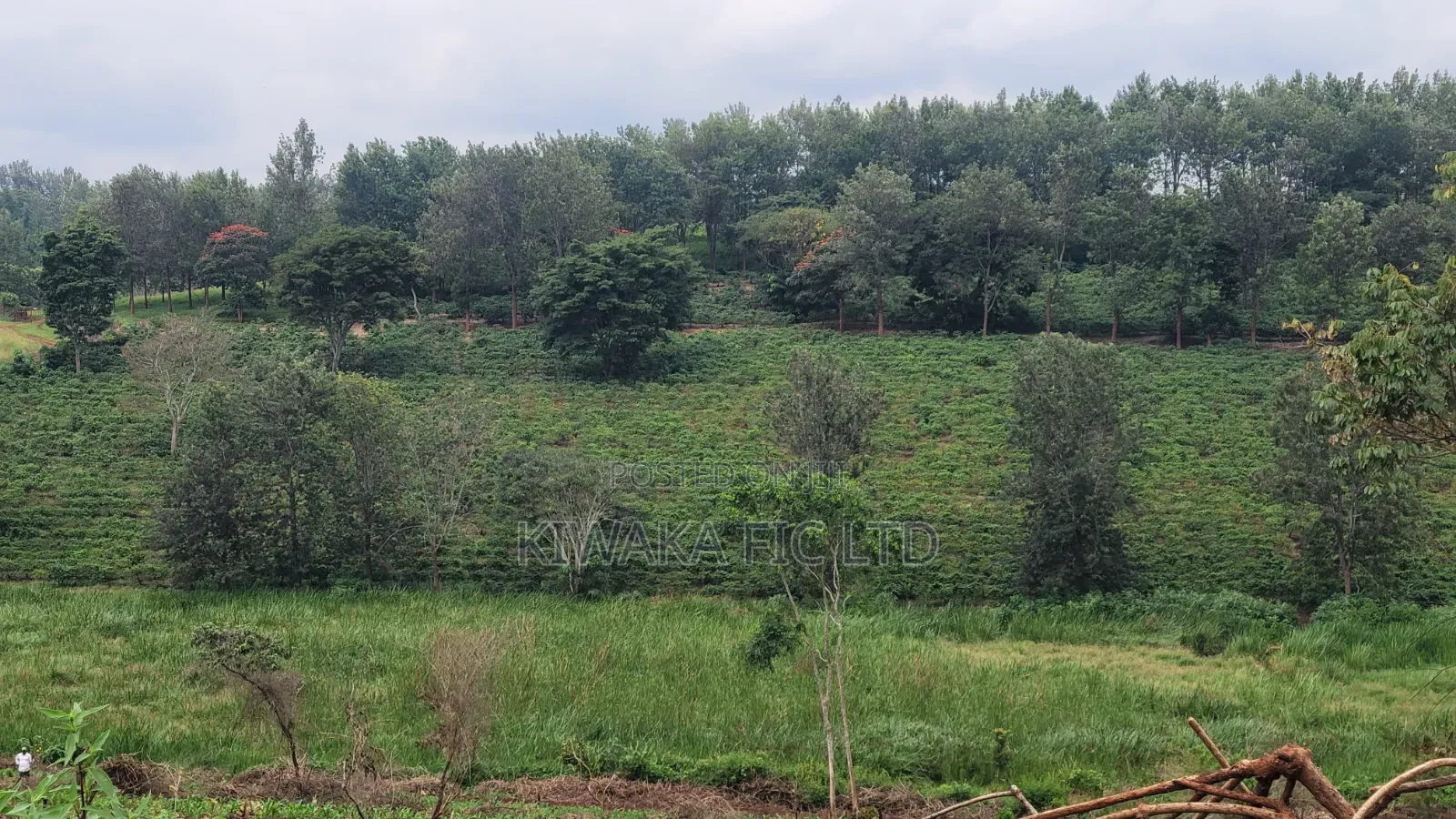 424 Acres for Sale Off Thika-Gatanga Road in Gatanga