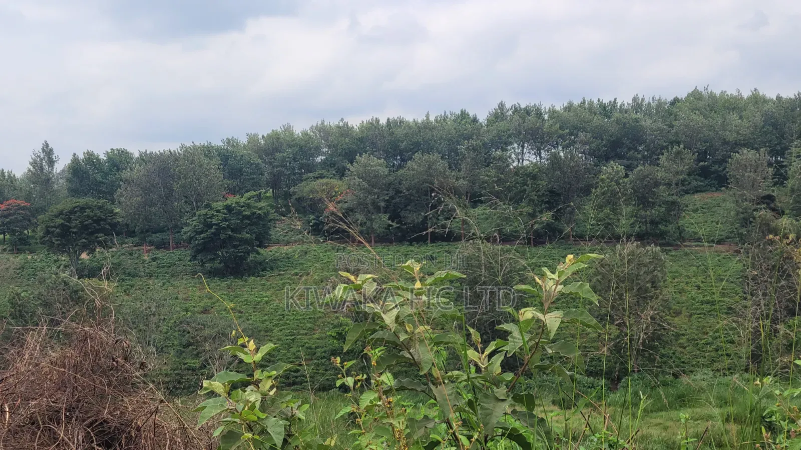 424 Acres for Sale Off Thika-Gatanga Road in Gatanga