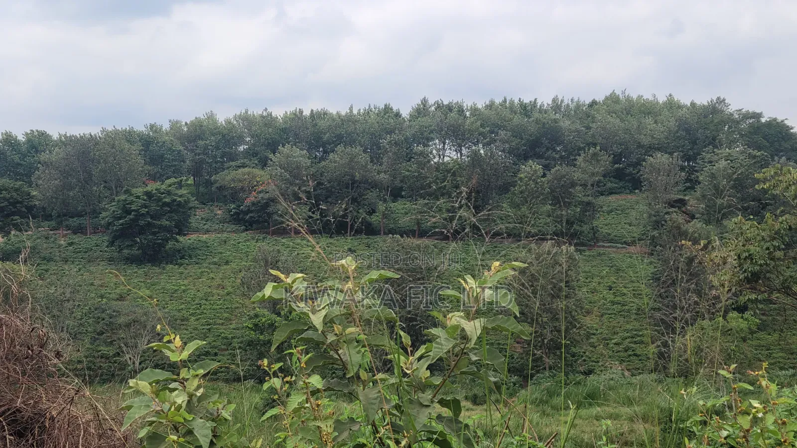 424 Acres for Sale Off Thika-Gatanga Road in Gatanga