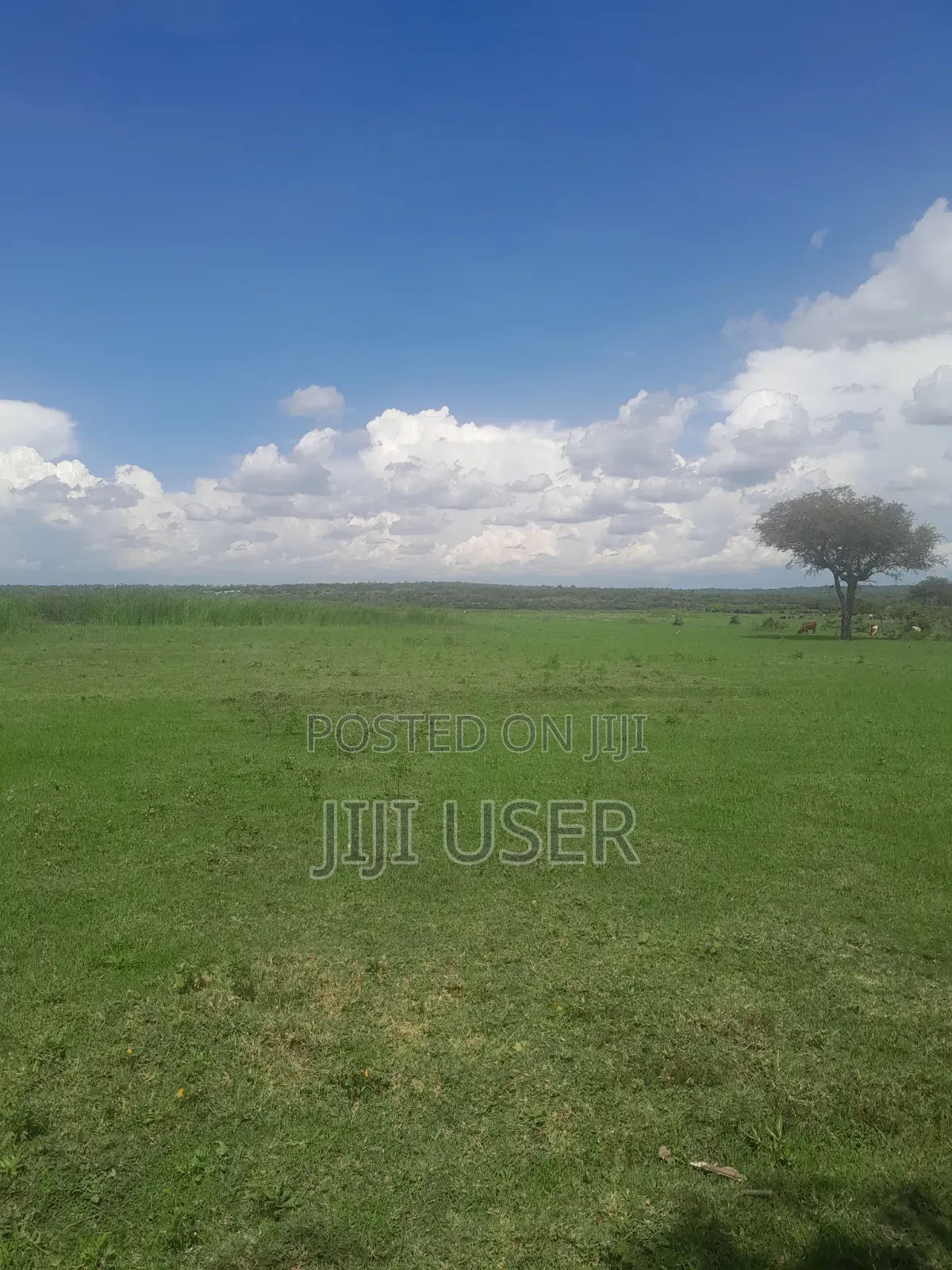 Prime Land in Nyagidha Area Homa Bay in Homa Bay Central