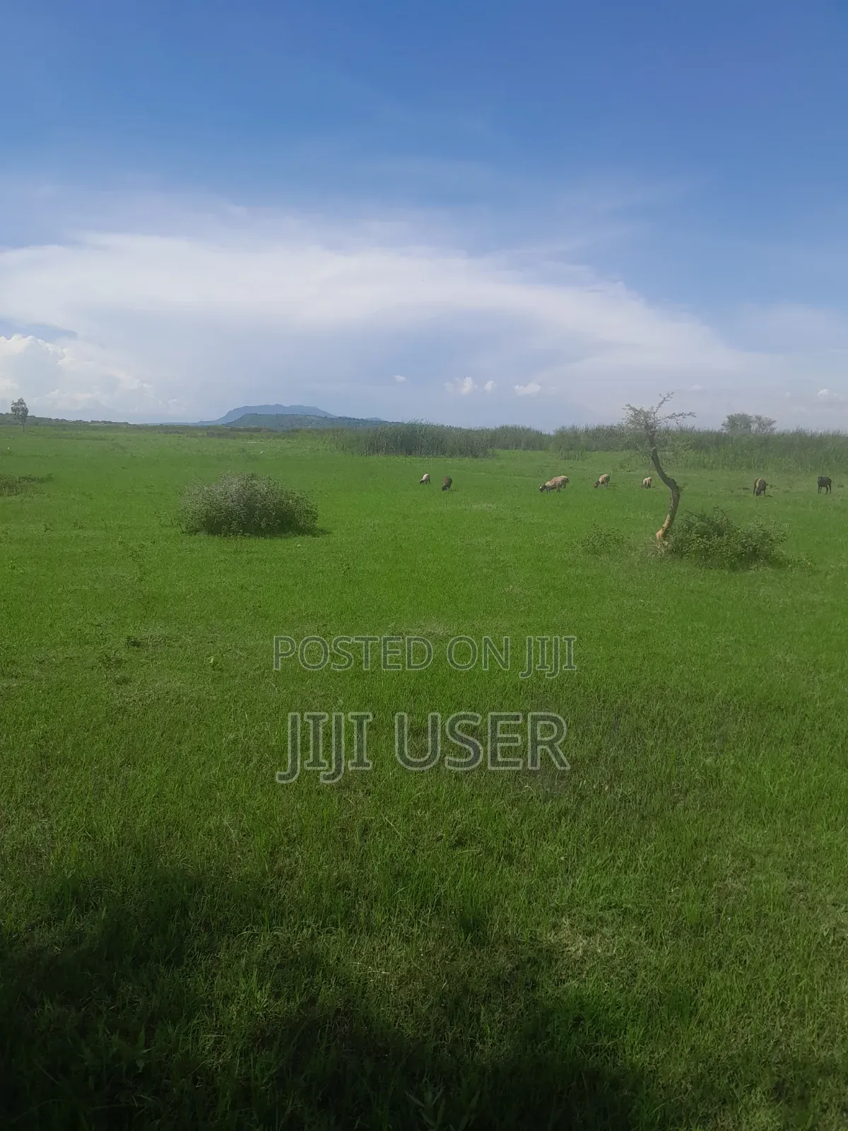 Prime Land in Nyagidha Area Homa Bay in Homa Bay Central