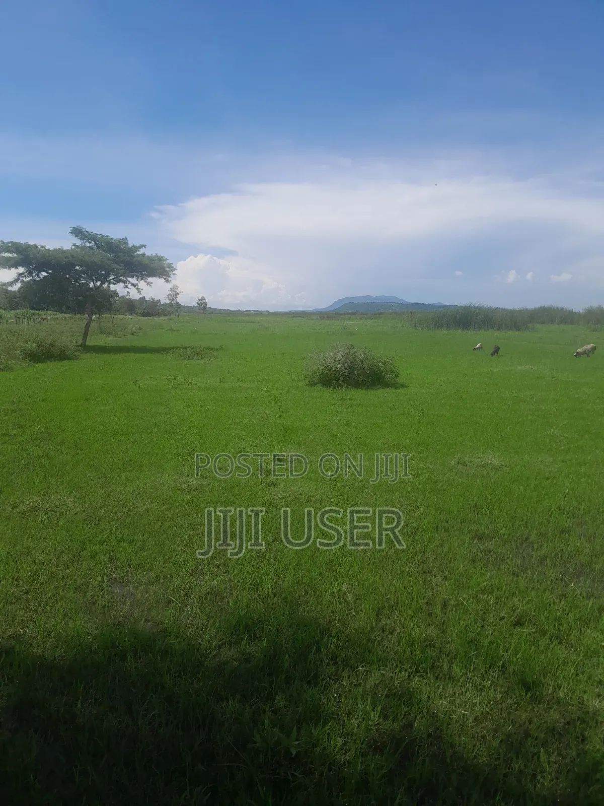Prime Land in Nyagidha Area Homa Bay in Homa Bay Central