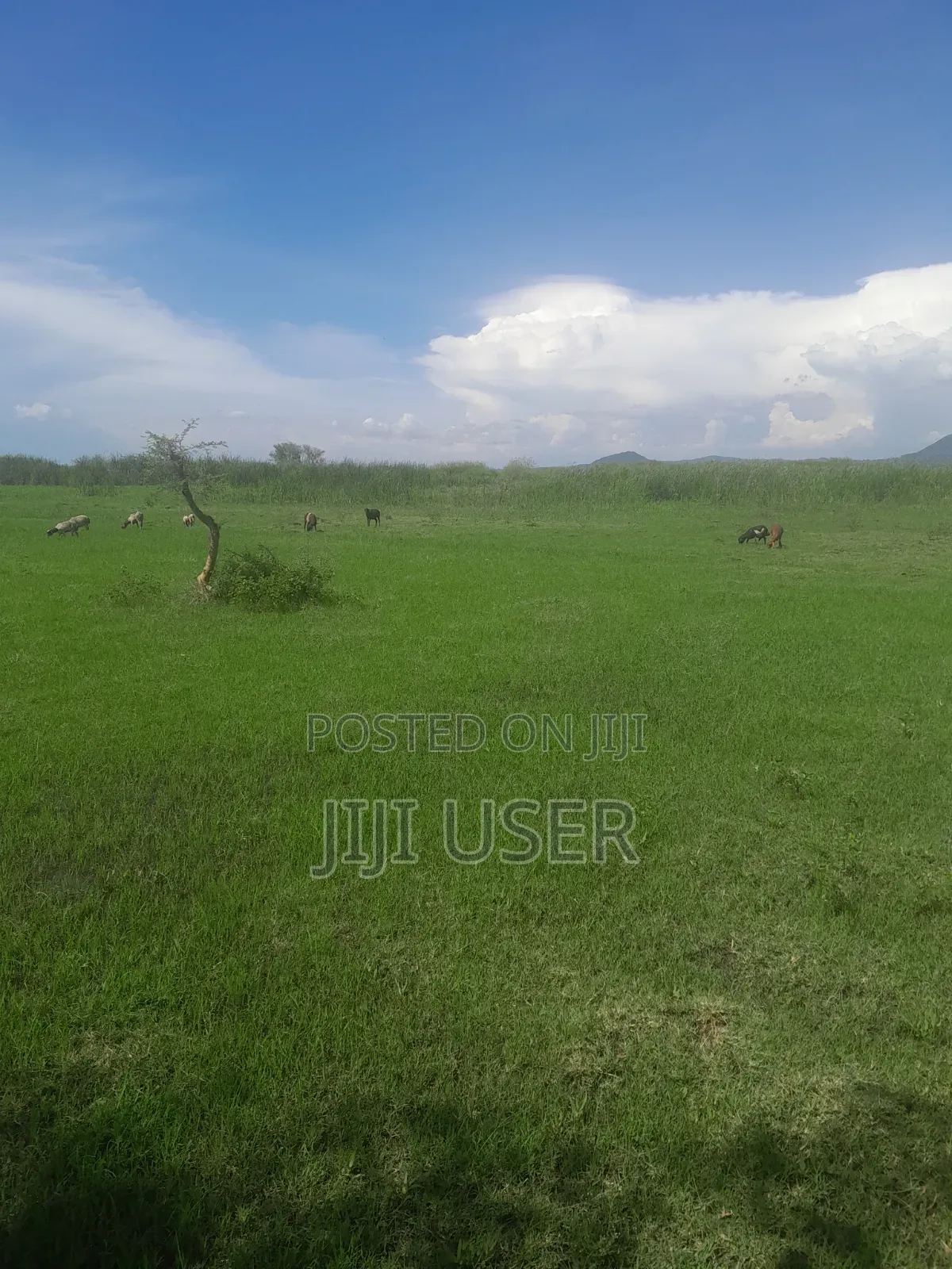 Prime Land in Nyagidha Area Homa Bay in Homa Bay Central