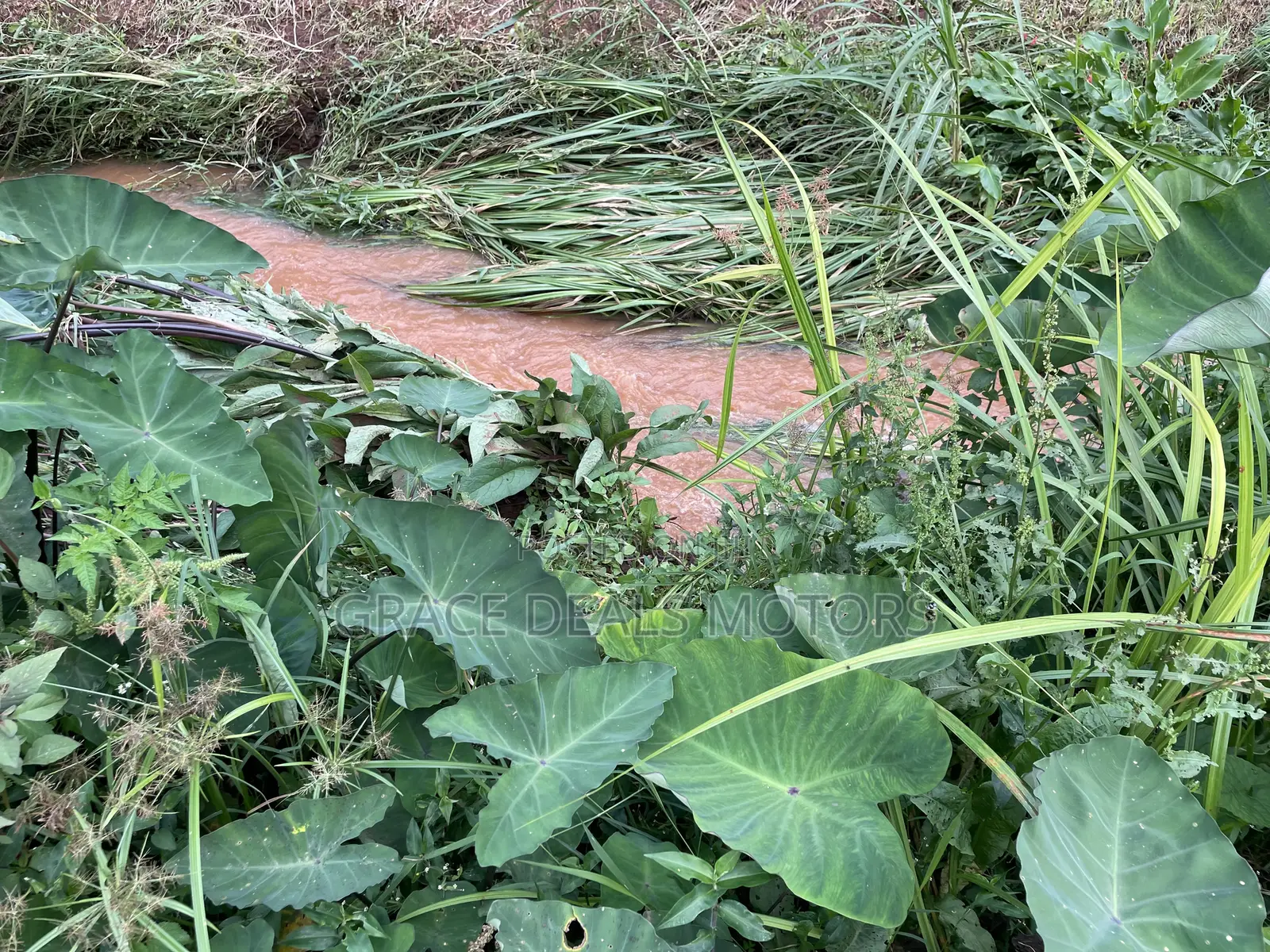 An Acre Plot for Sale in Wangige