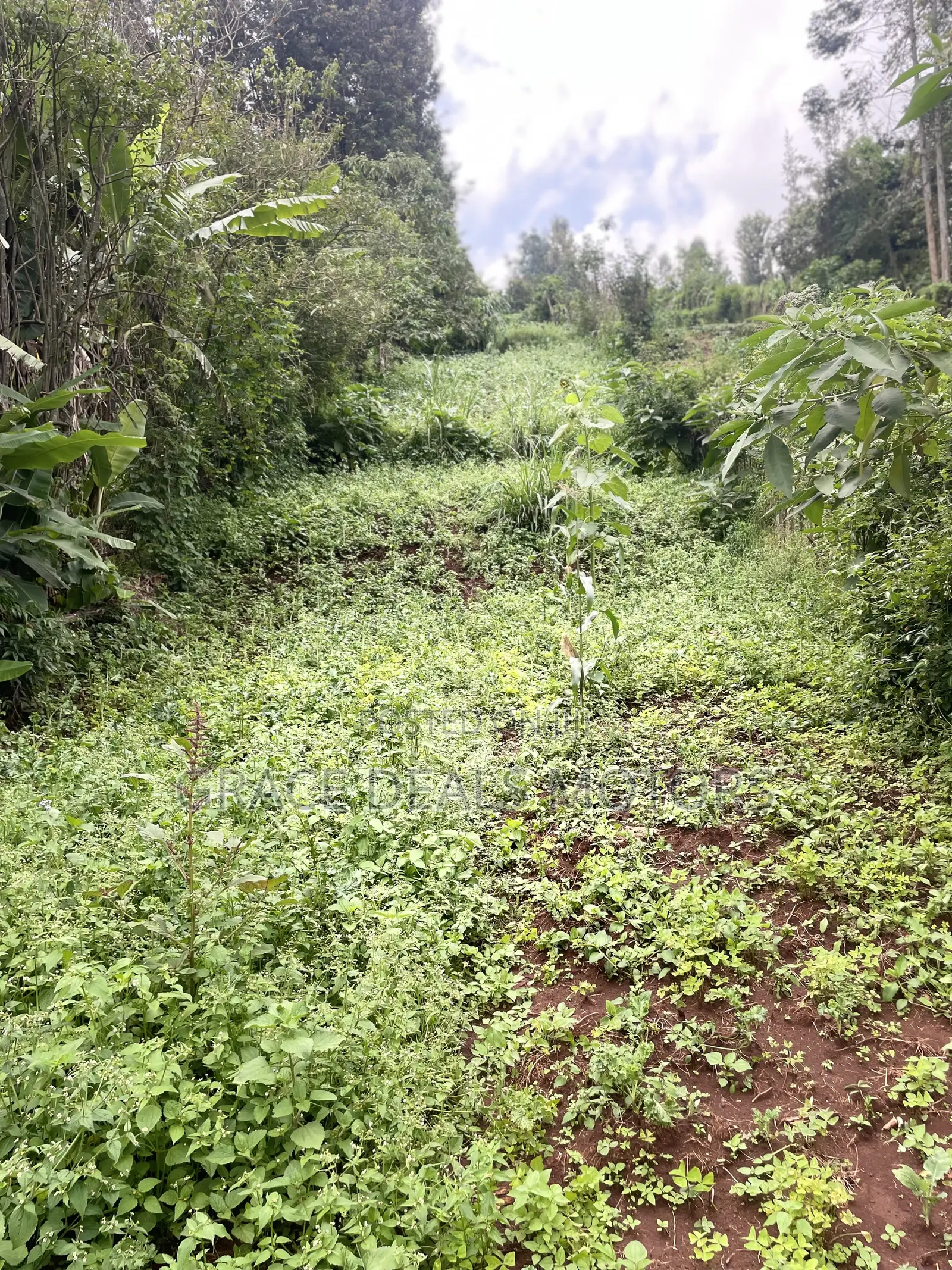 An Acre Plot for Sale in Wangige