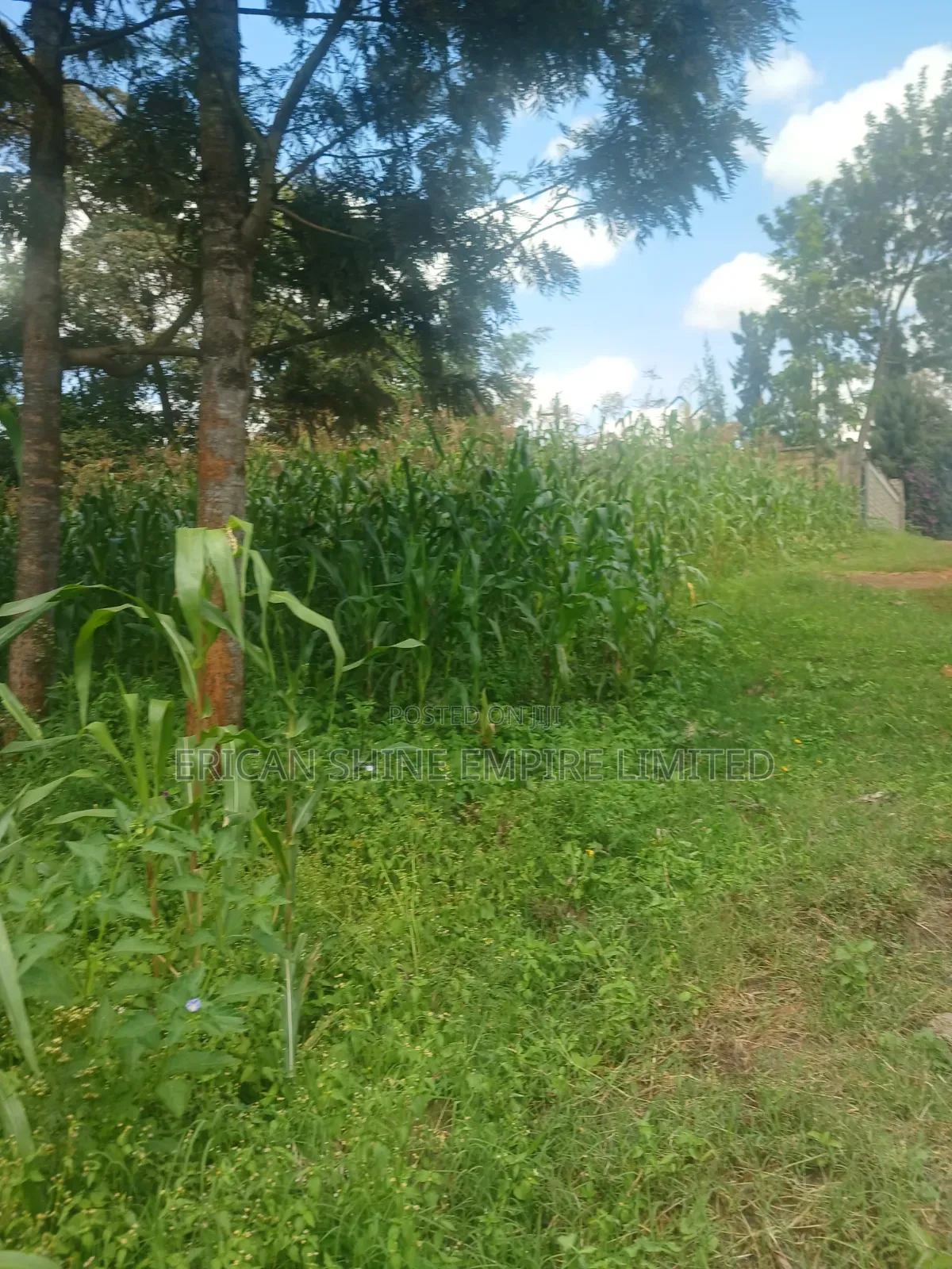 100 by 100 Plot for Lease in Ndwaru Road in Ruthimitu