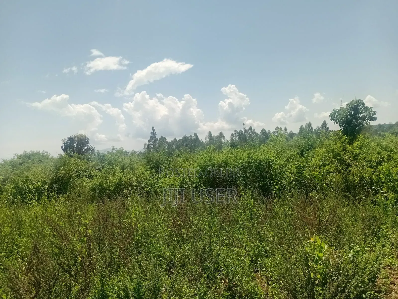 Two Acres in Wiga Area Homa Bay in Homa Bay Central