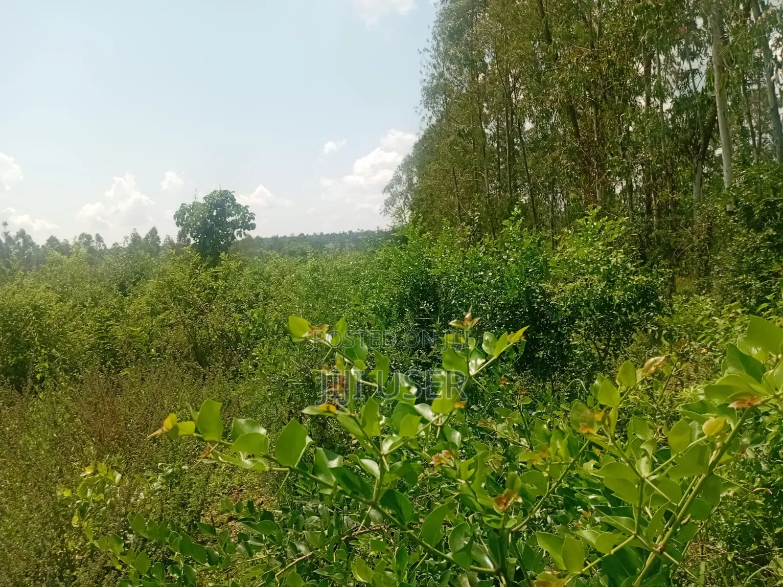 Two Acres in Wiga Area Homa Bay in Homa Bay Central