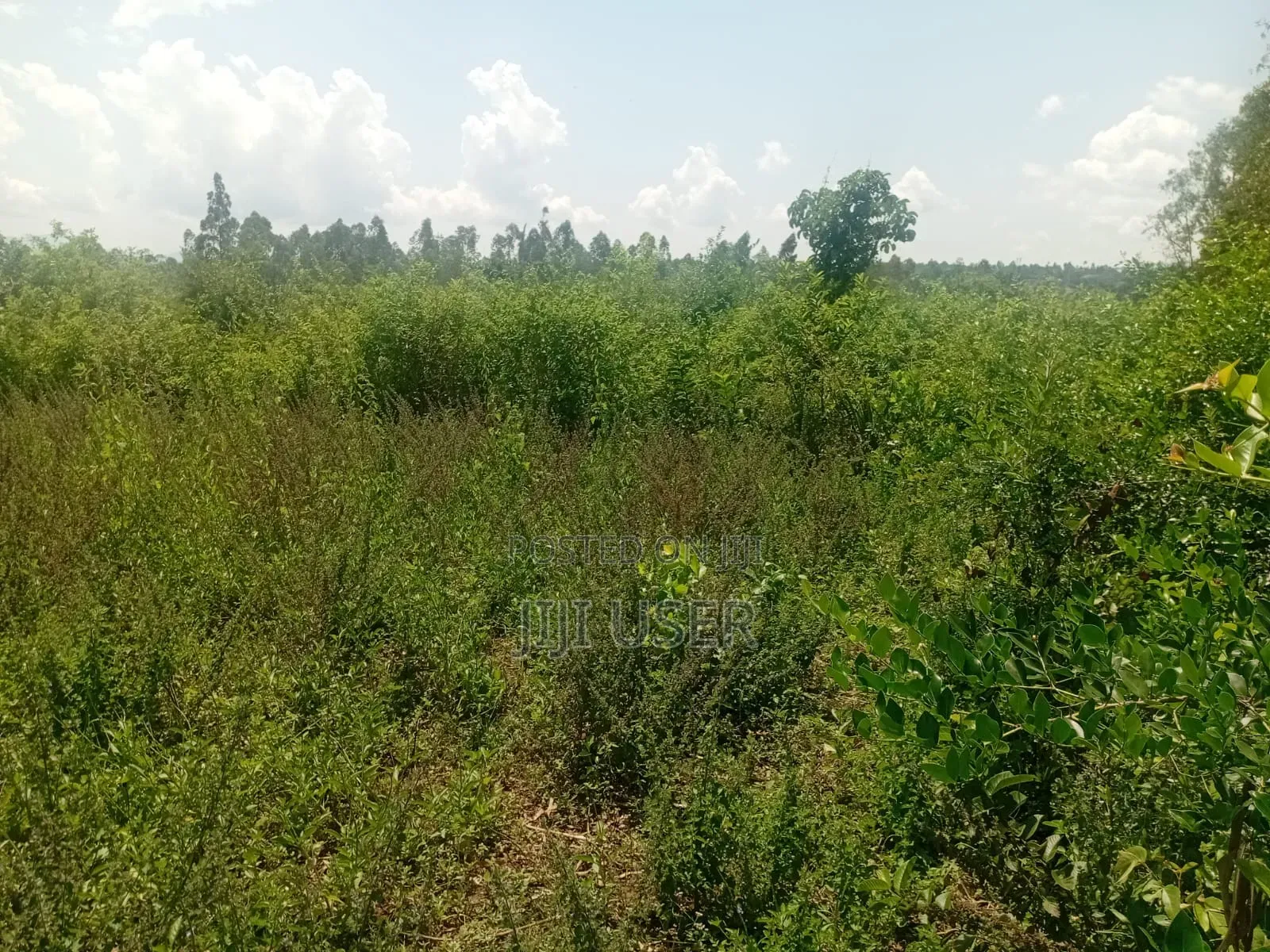 Two Acres in Wiga Area Homa Bay in Homa Bay Central