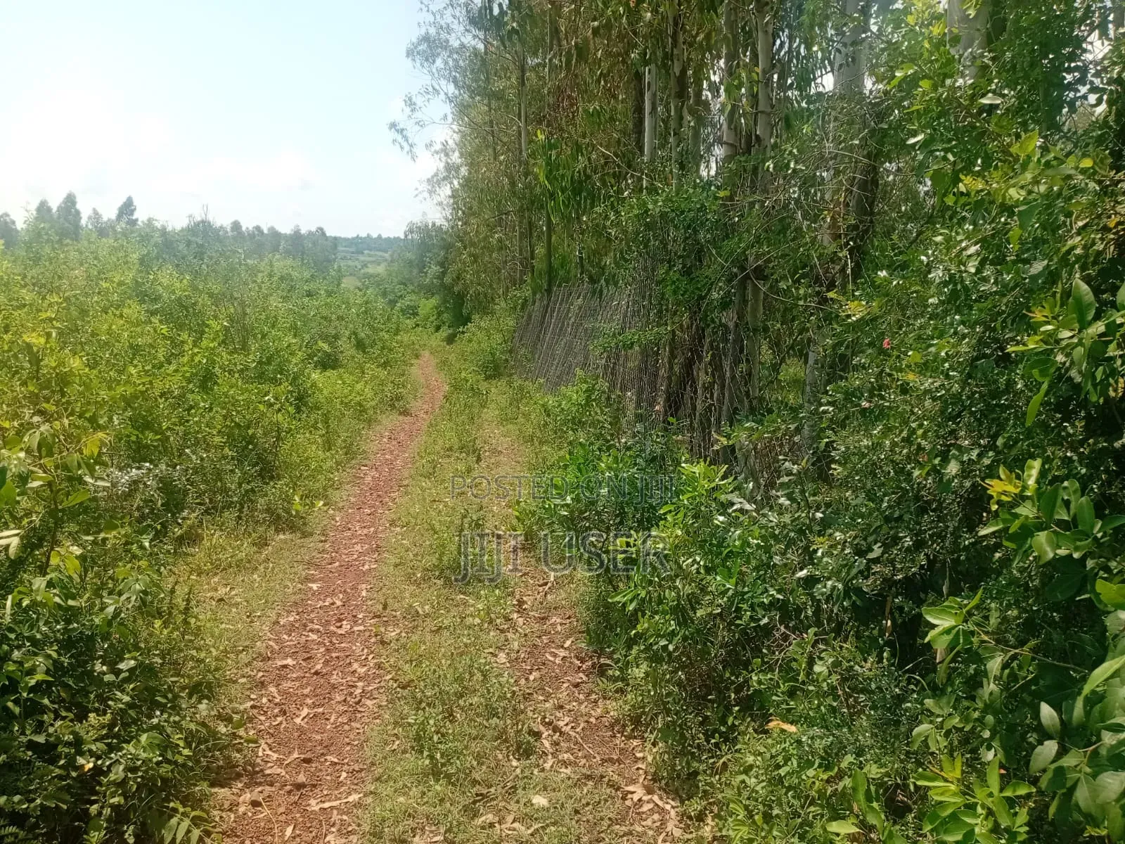 Two Acres in Wiga Area Homa Bay in Homa Bay Central