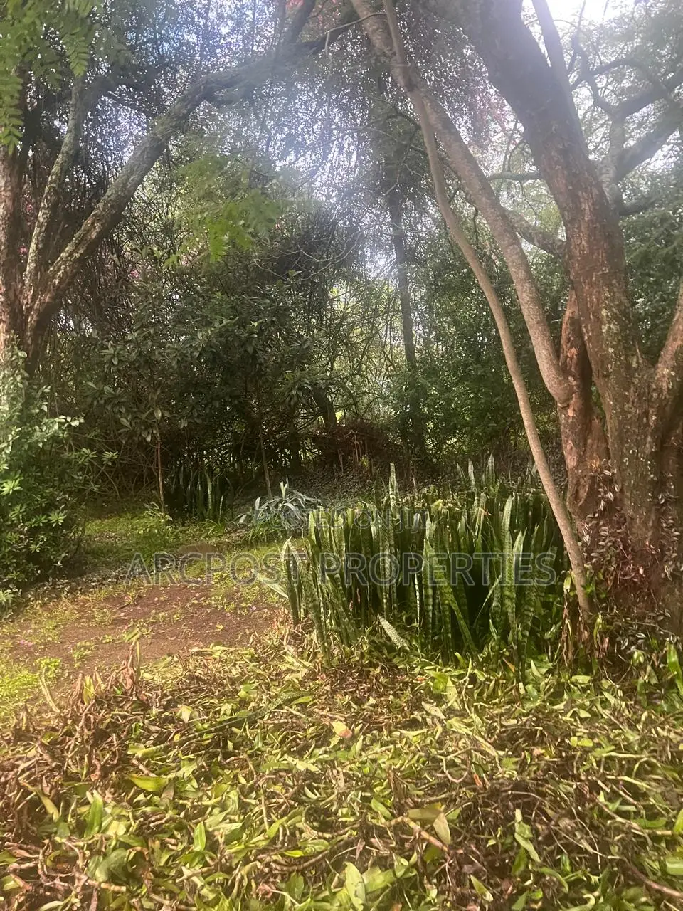 Prime 5 Acres Commercial Land for Sale Touching Langata South Road in Hardy