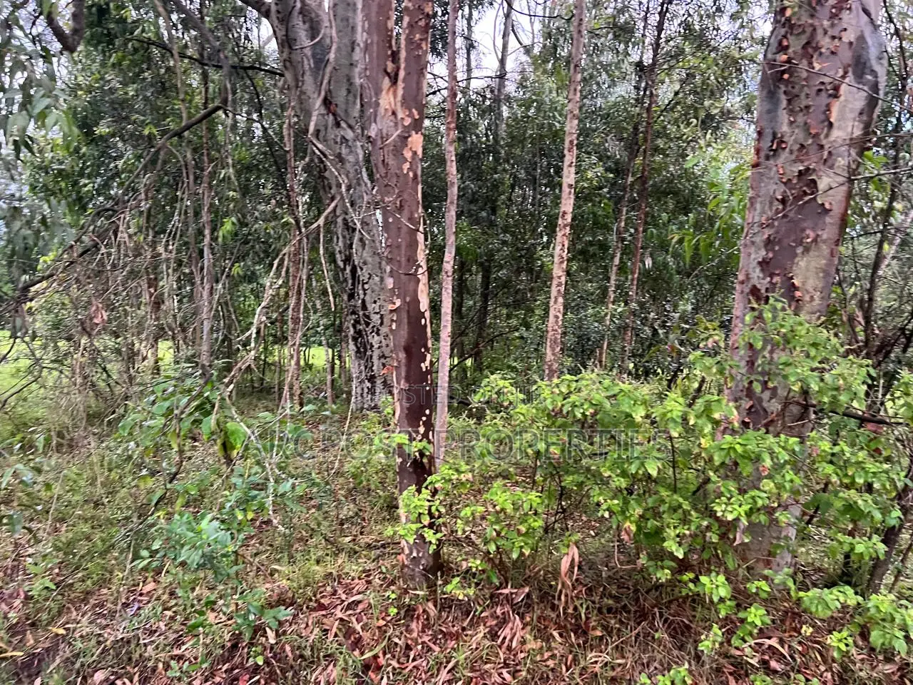 Prime 10 Acres Commercial Land for Sale in Karen Langata Road Frontage in Hardy