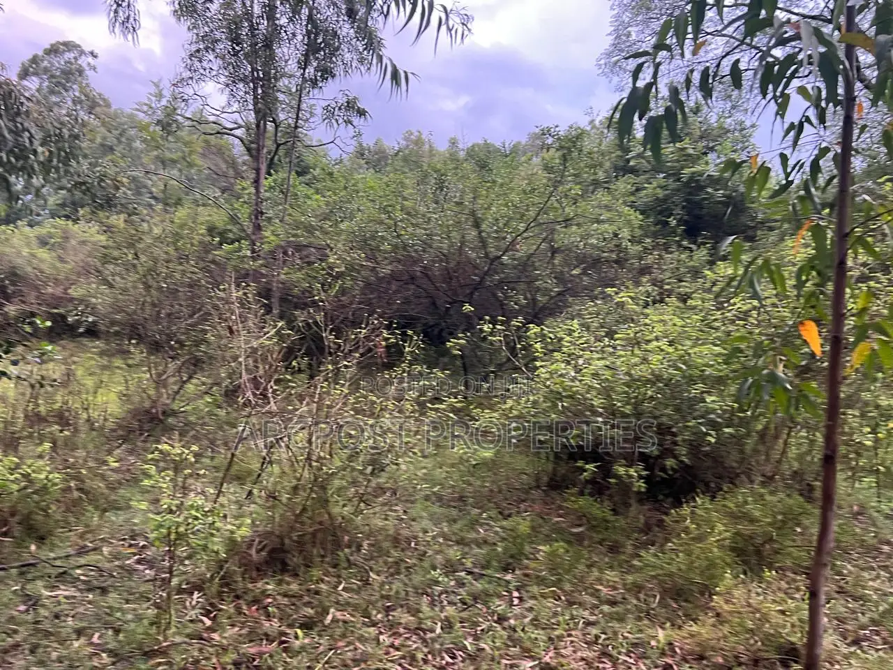 Prime 10 Acres Commercial Land for Sale in Karen Langata Road Frontage in Hardy