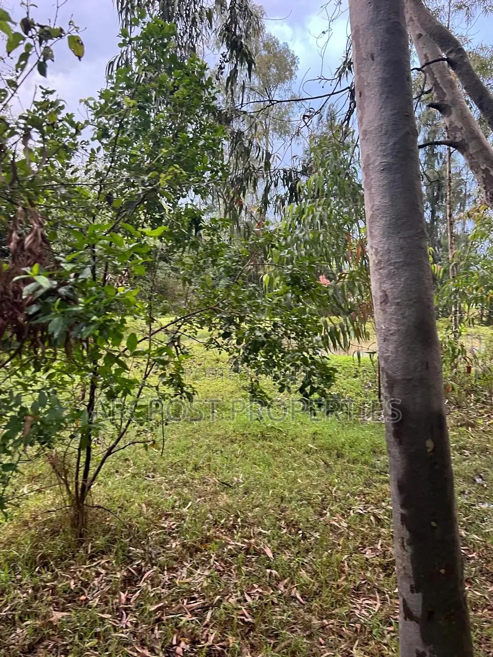 Prime 10 Acres Commercial Land for Sale in Karen Langata Road Frontage in Hardy