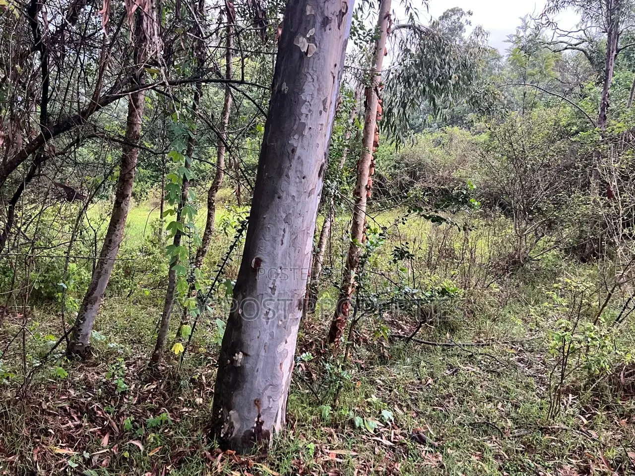 Prime 10 Acres Commercial Land for Sale in Karen Langata Road Frontage in Hardy
