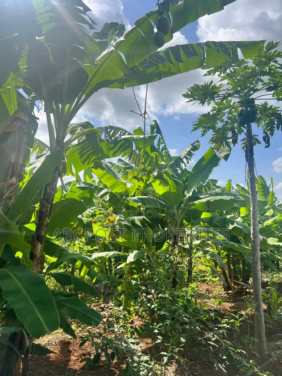 Prime 2 Acres Agricultural Land for Sale in Kiboi Fronting Kiboi River in Karingani