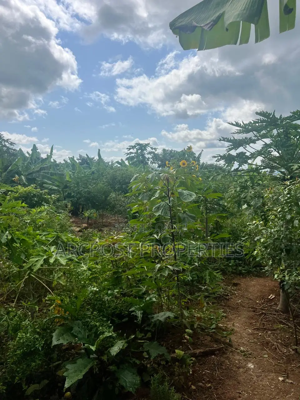Prime 2 Acres Agricultural Land for Sale in Kiboi Fronting Kiboi River in Karingani
