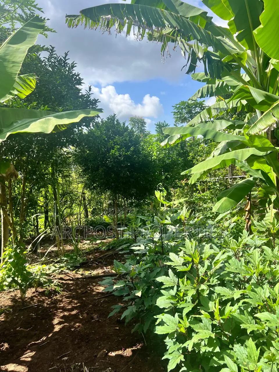 Prime 2 Acres Agricultural Land for Sale in Kiboi Fronting Kiboi River in Karingani