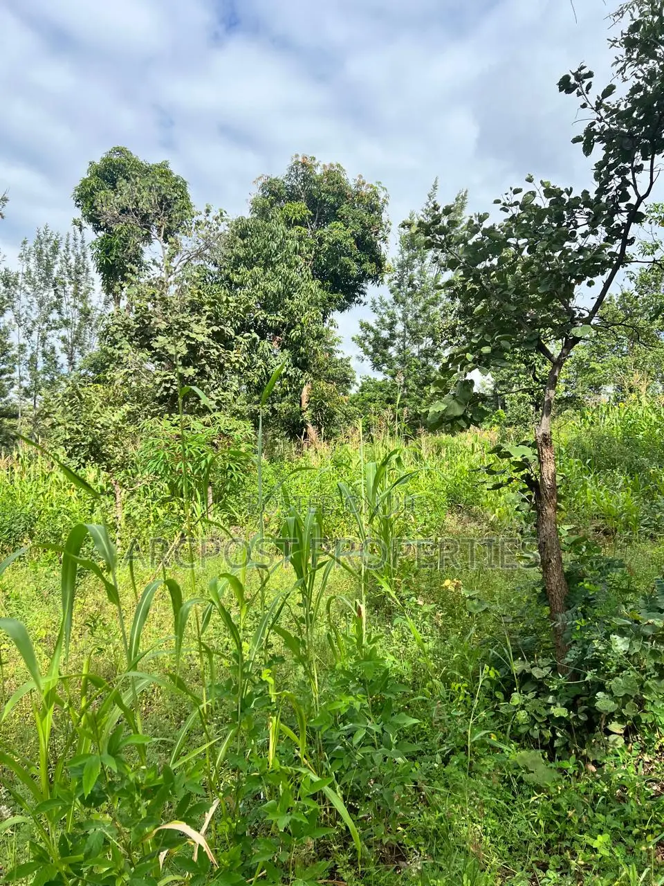 Prime 2 Acres Agricultural Land for Sale in Kiboi Fronting Kiboi River in Karingani