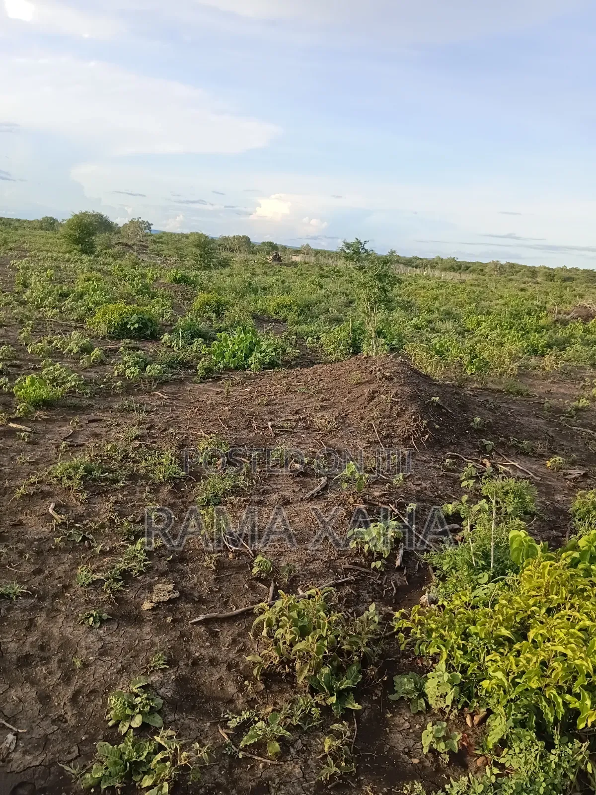 Get 7.5 Acres With Ready Title Deed in Chakama in Adu