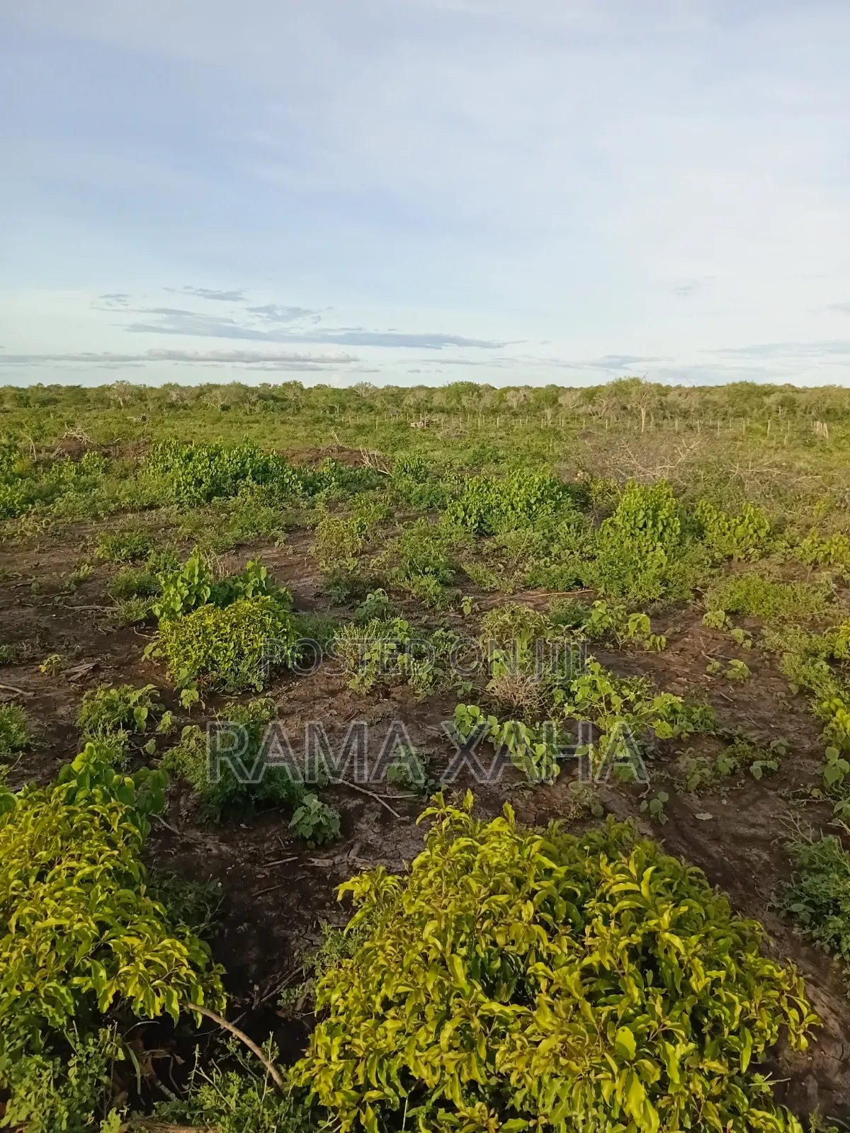 Get 7.5 Acres With Ready Title Deed in Chakama in Adu