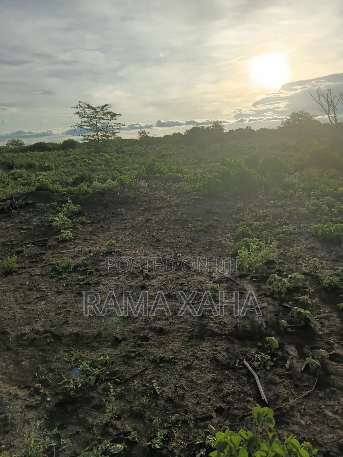 Get 7.5 Acres With Ready Title Deed in Chakama in Adu
