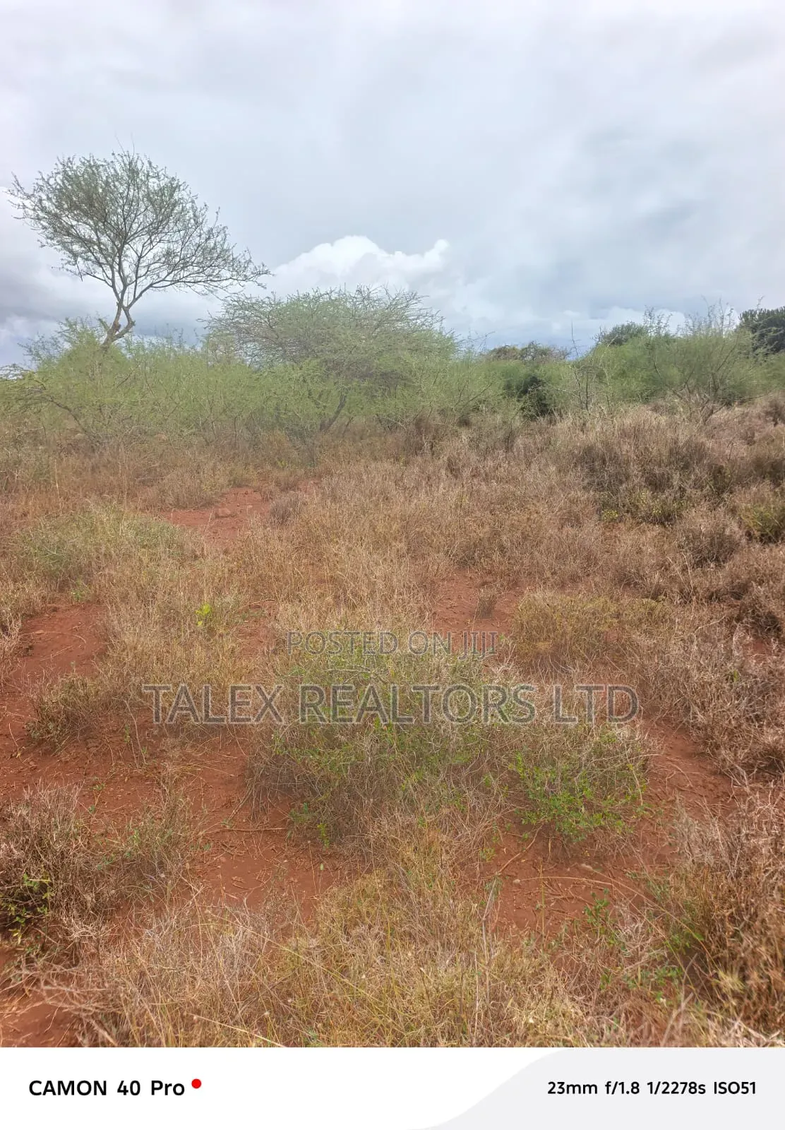 20 Acres Kimana: Mt Kilimanjaro View, Kilaguni Rd in Kimana