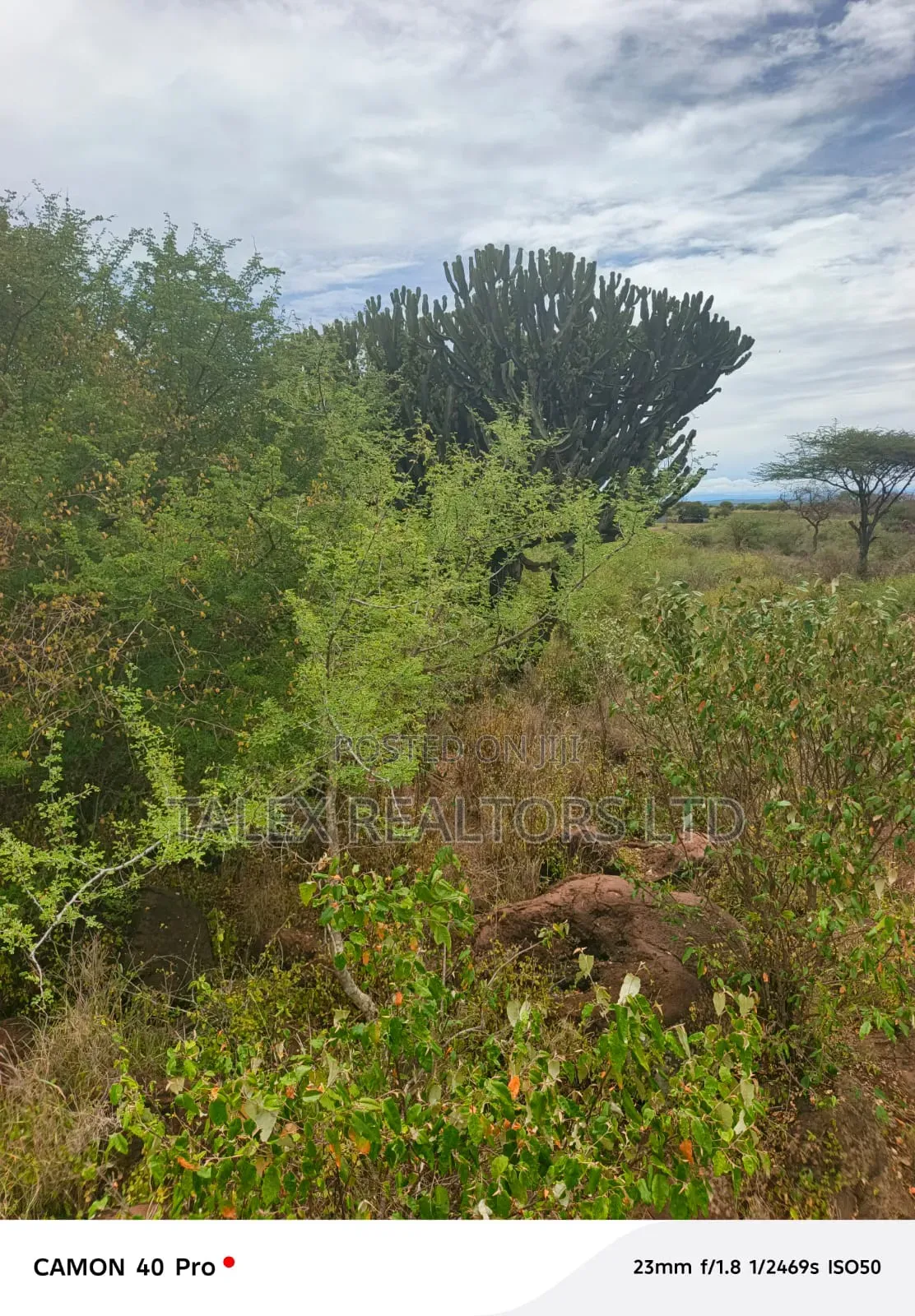 20 Acres Kimana: Mt Kilimanjaro View, Kilaguni Rd in Kimana
