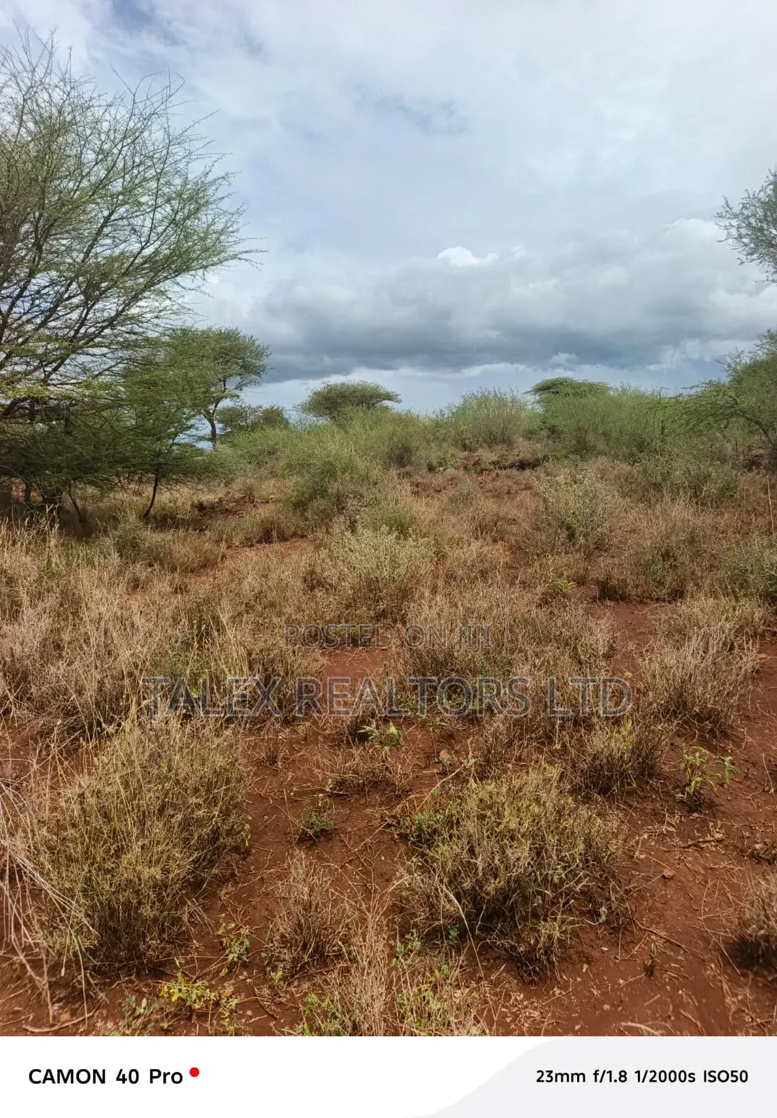 20 Acres Kimana: Mt Kilimanjaro View, Kilaguni Rd in Kimana