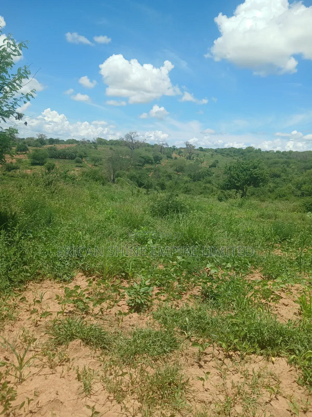 20 Acres Prime Land for Sale in Embu in Kiambere