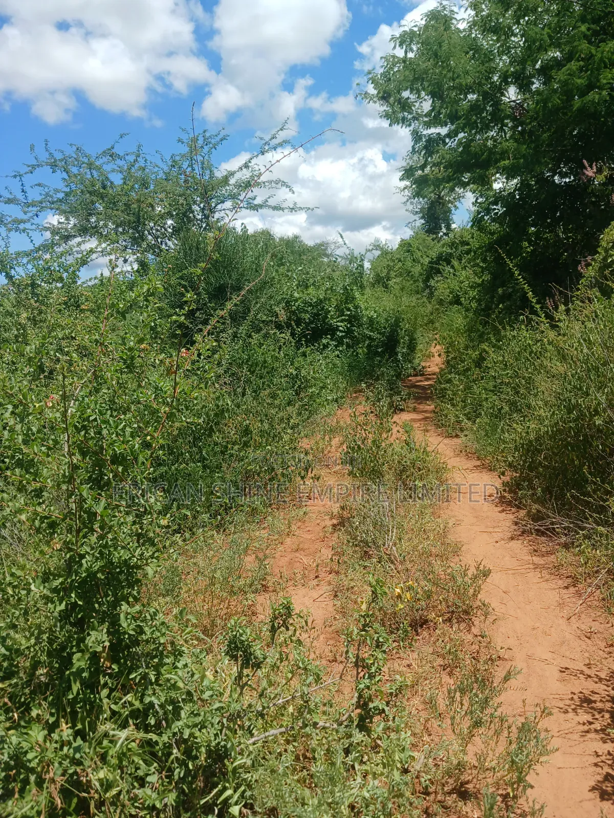 20 Acres Prime Land for Sale in Embu in Kiambere