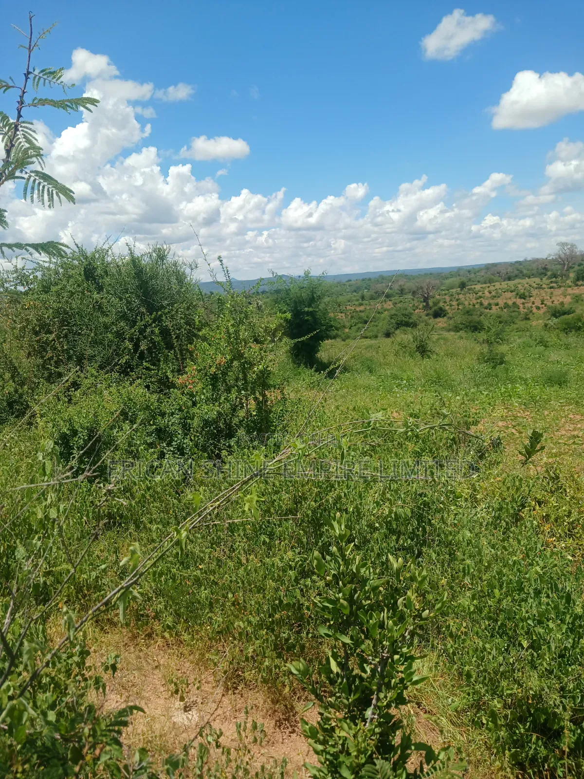 20 Acres Prime Land for Sale in Embu in Kiambere