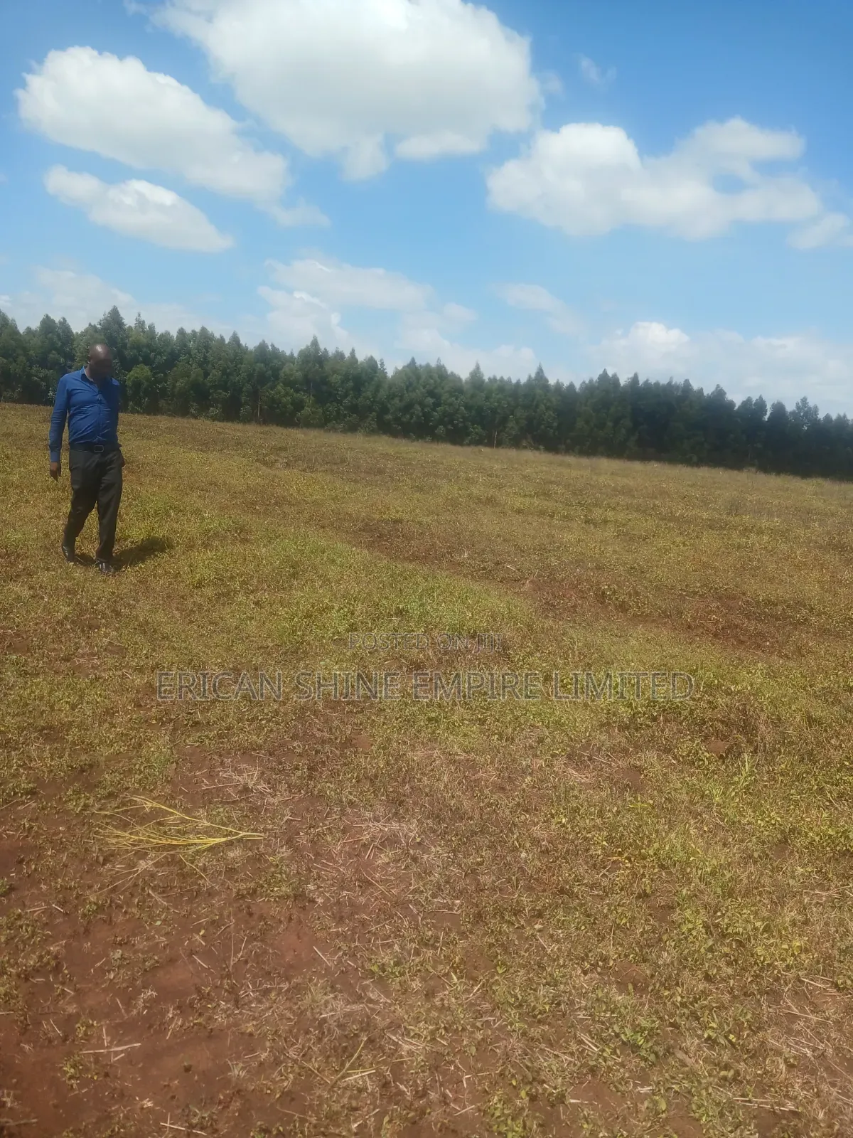 Prime Lands for Sale 20/ 50 Acres in Nyandarua in Nyahururu