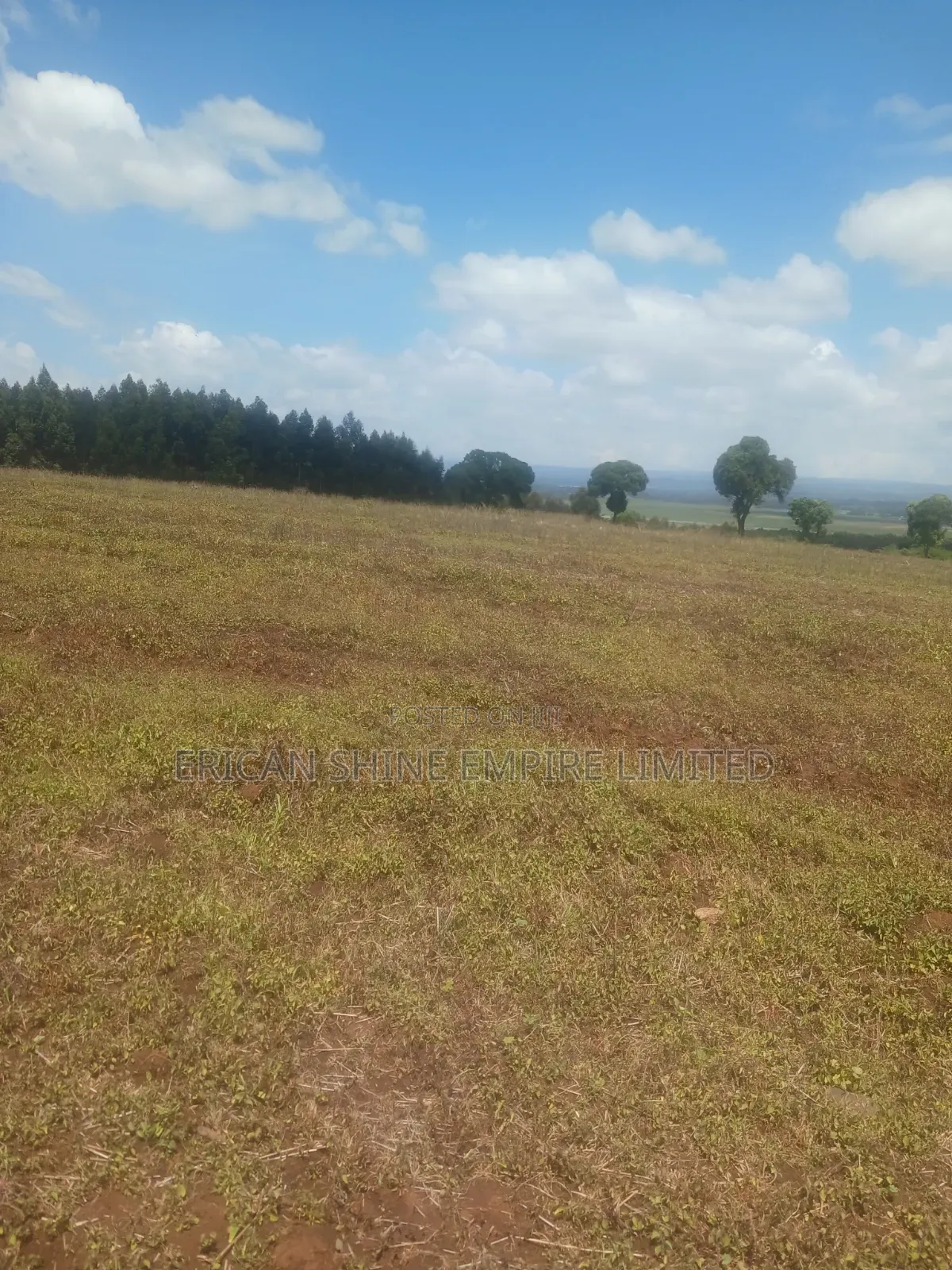Prime Lands for Sale 20/ 50 Acres in Nyandarua in Nyahururu