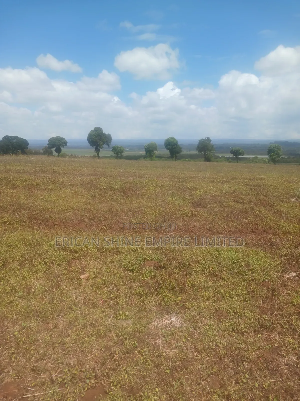 Prime Lands for Sale 20/ 50 Acres in Nyandarua in Nyahururu