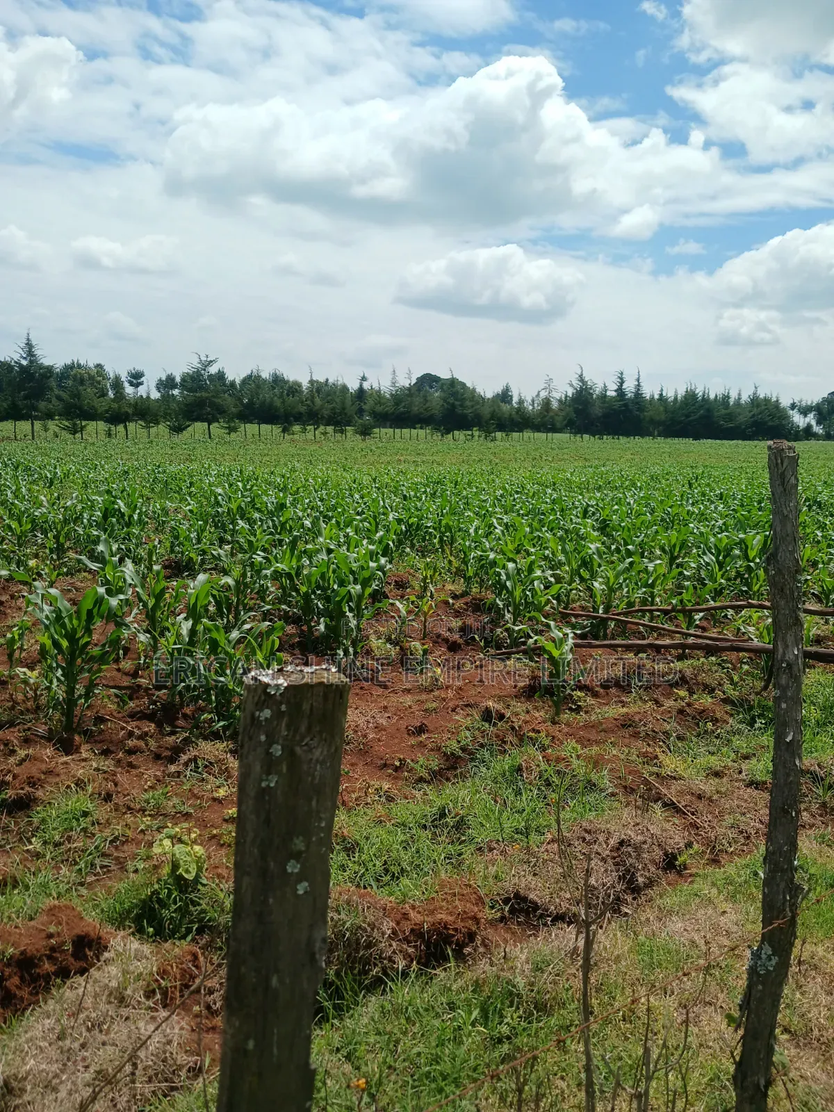 5 Acres Prime Land for Sale in Nyahururu in Salama