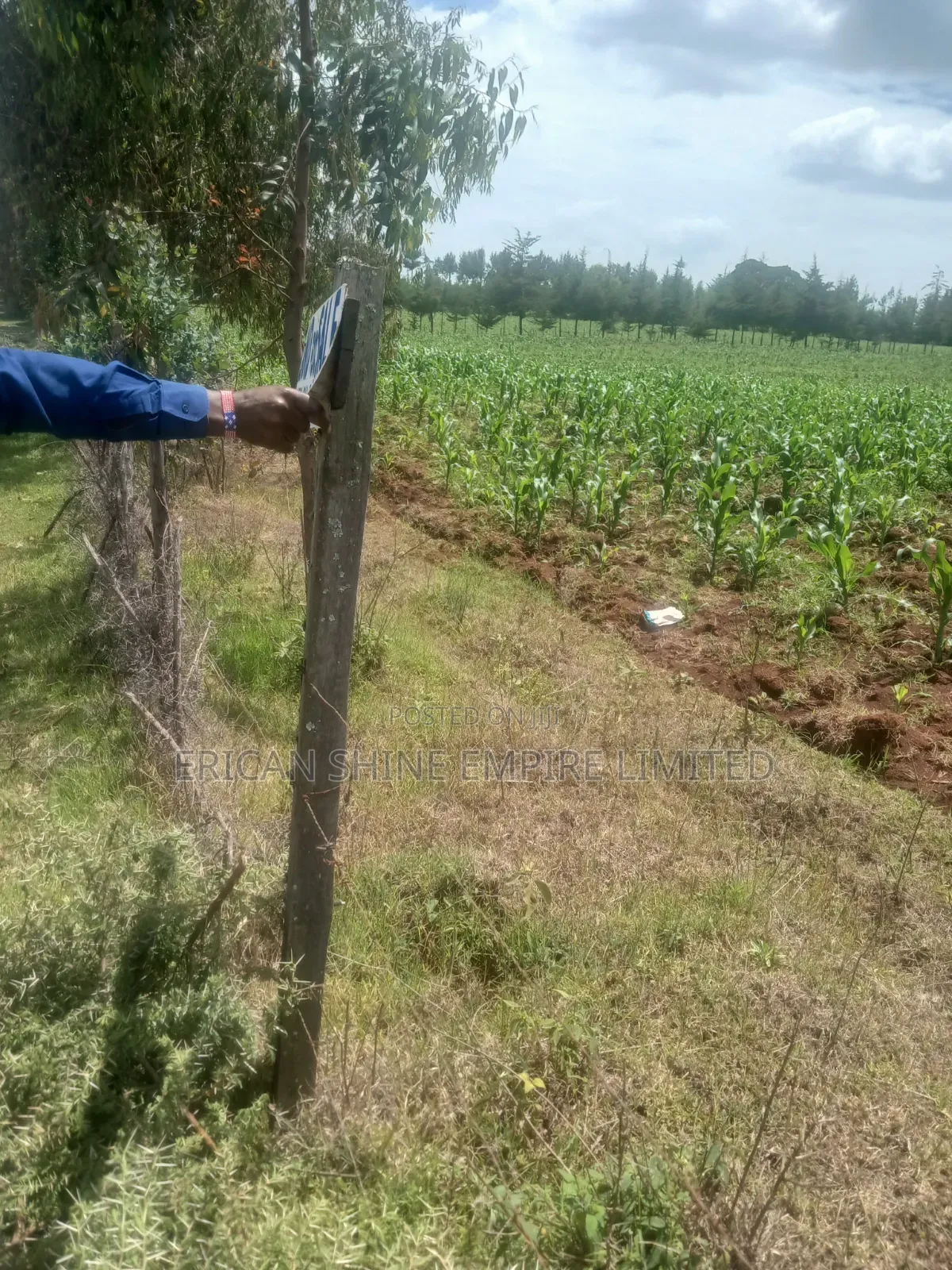 5 Acres Prime Land for Sale in Nyahururu in Salama