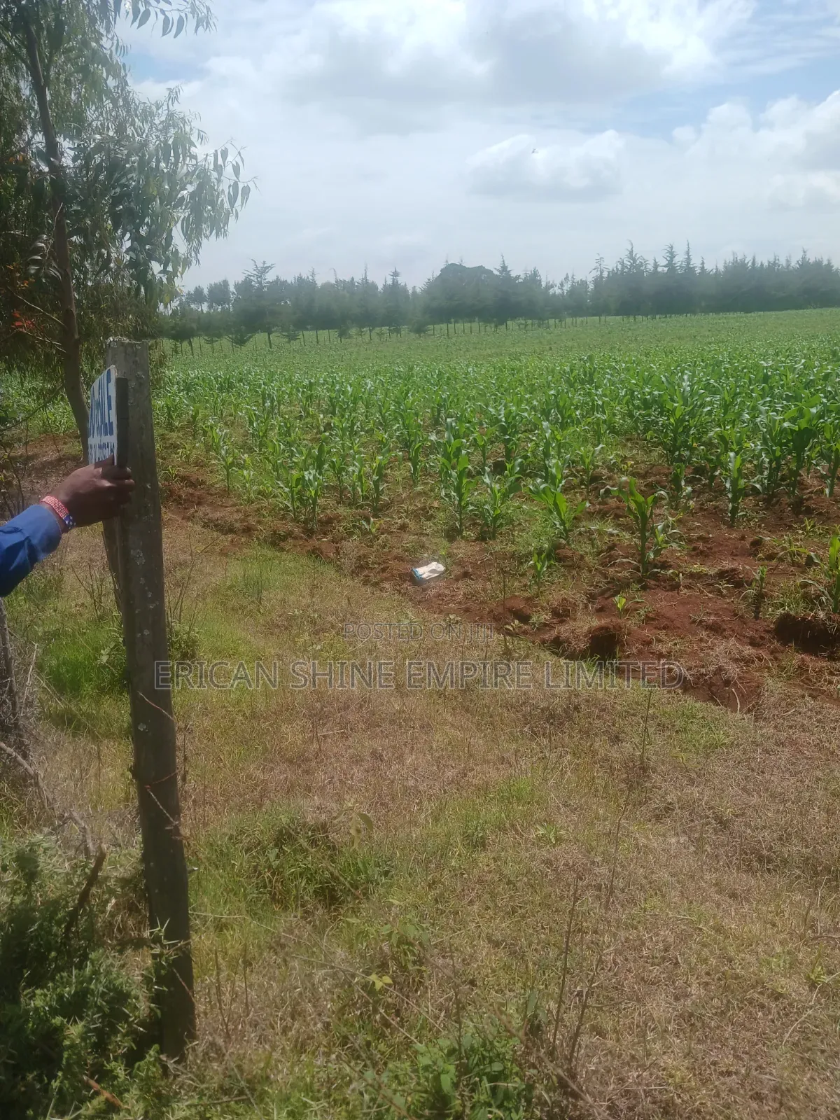 5 Acres Prime Land for Sale in Nyahururu in Salama