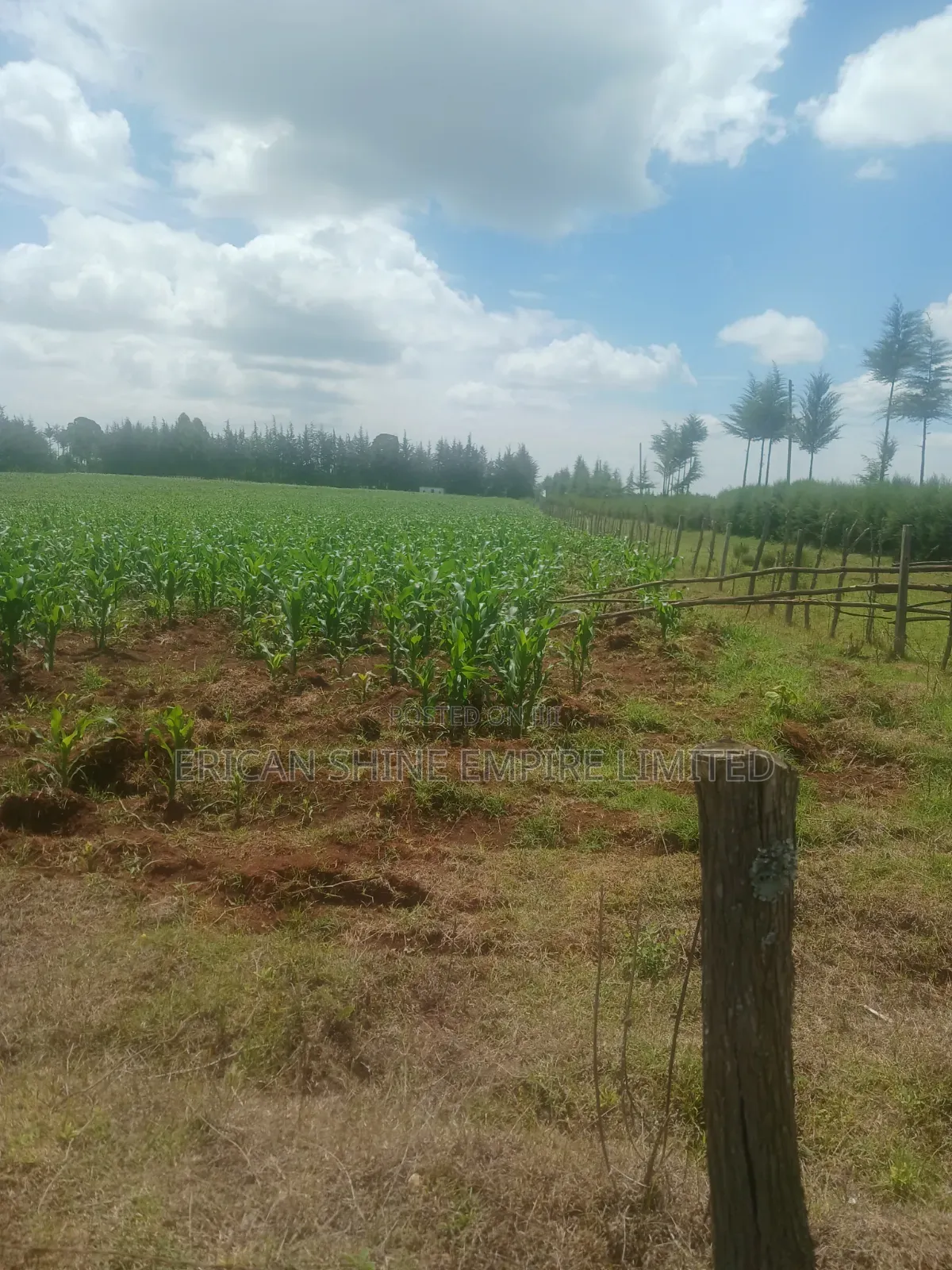 5 Acres Prime Land for Sale in Nyahururu in Salama