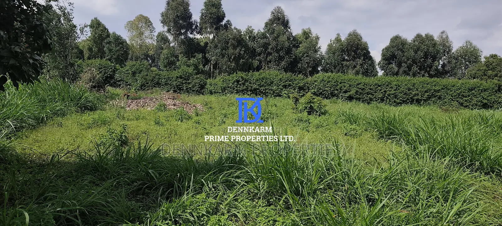 Kikuyu's Skyline: Prime Residential Plot for Sale in Ondiri in Karai