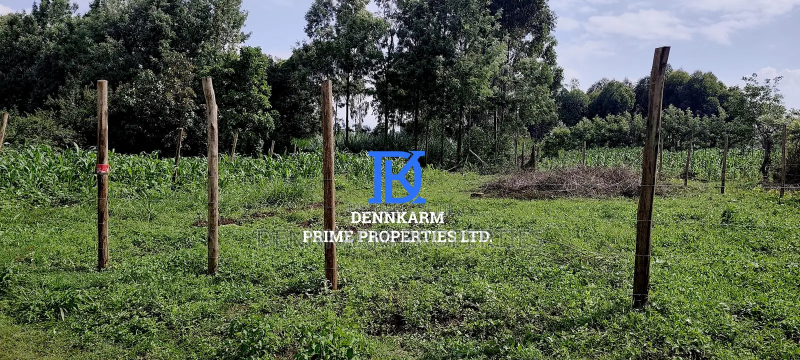 Kikuyu's Skyline: Prime Residential Plot for Sale in Ondiri in Karai