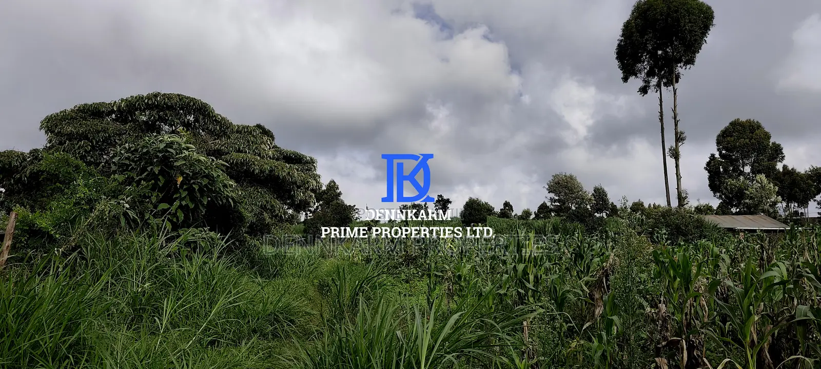 Residential Plots – Kikuyu, Kerwa (Muguga Jet Scheme in Muguga