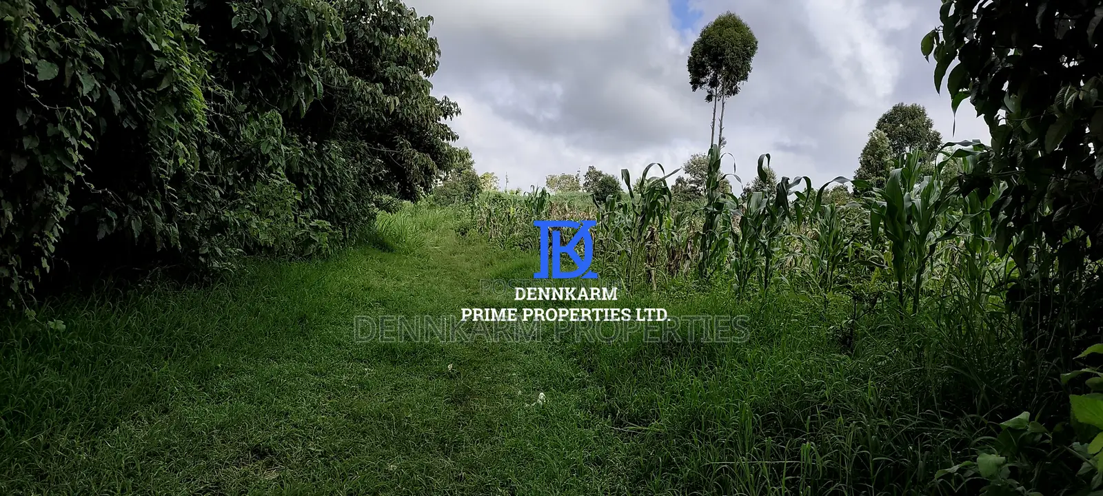 Residential Plots – Kikuyu, Kerwa (Muguga Jet Scheme in Muguga