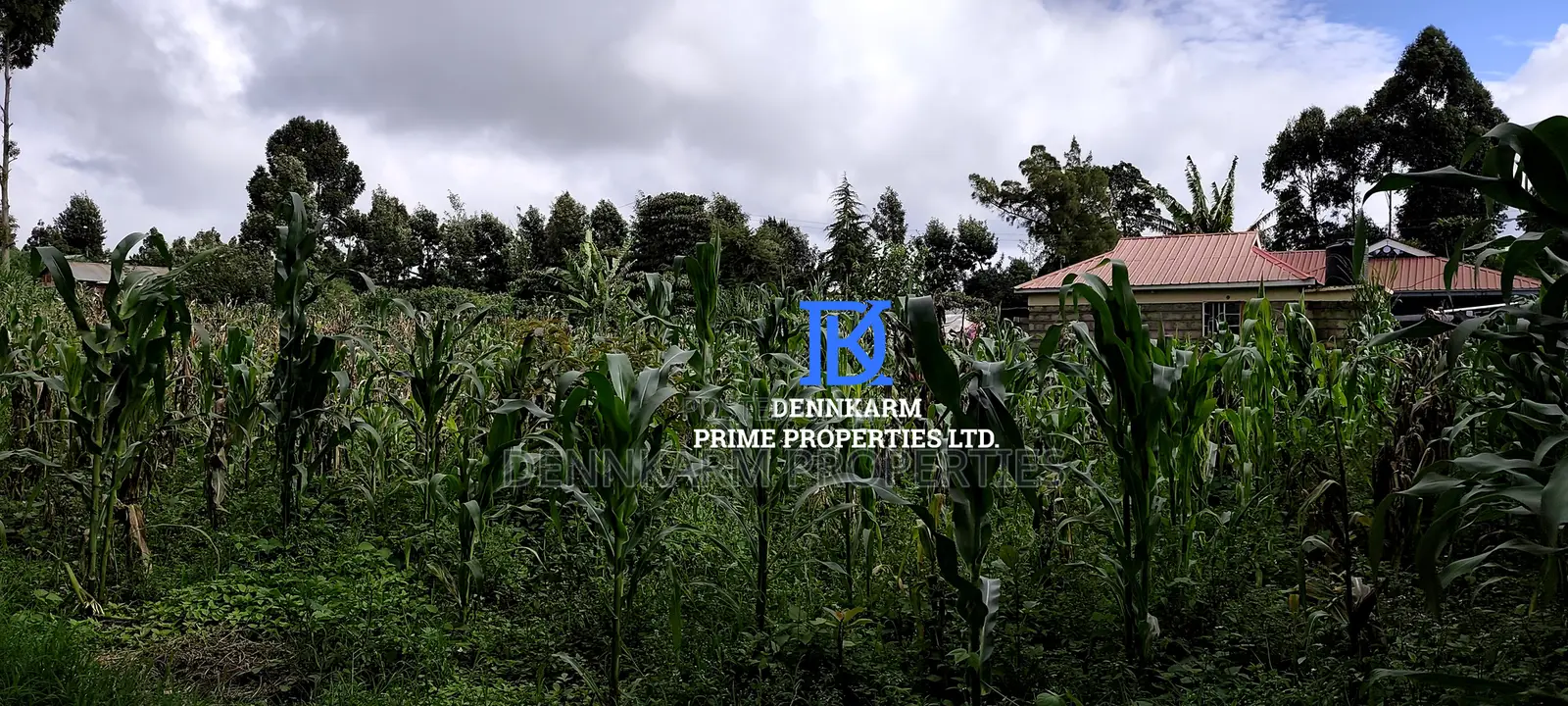 Residential Plots – Kikuyu, Kerwa (Muguga Jet Scheme in Muguga