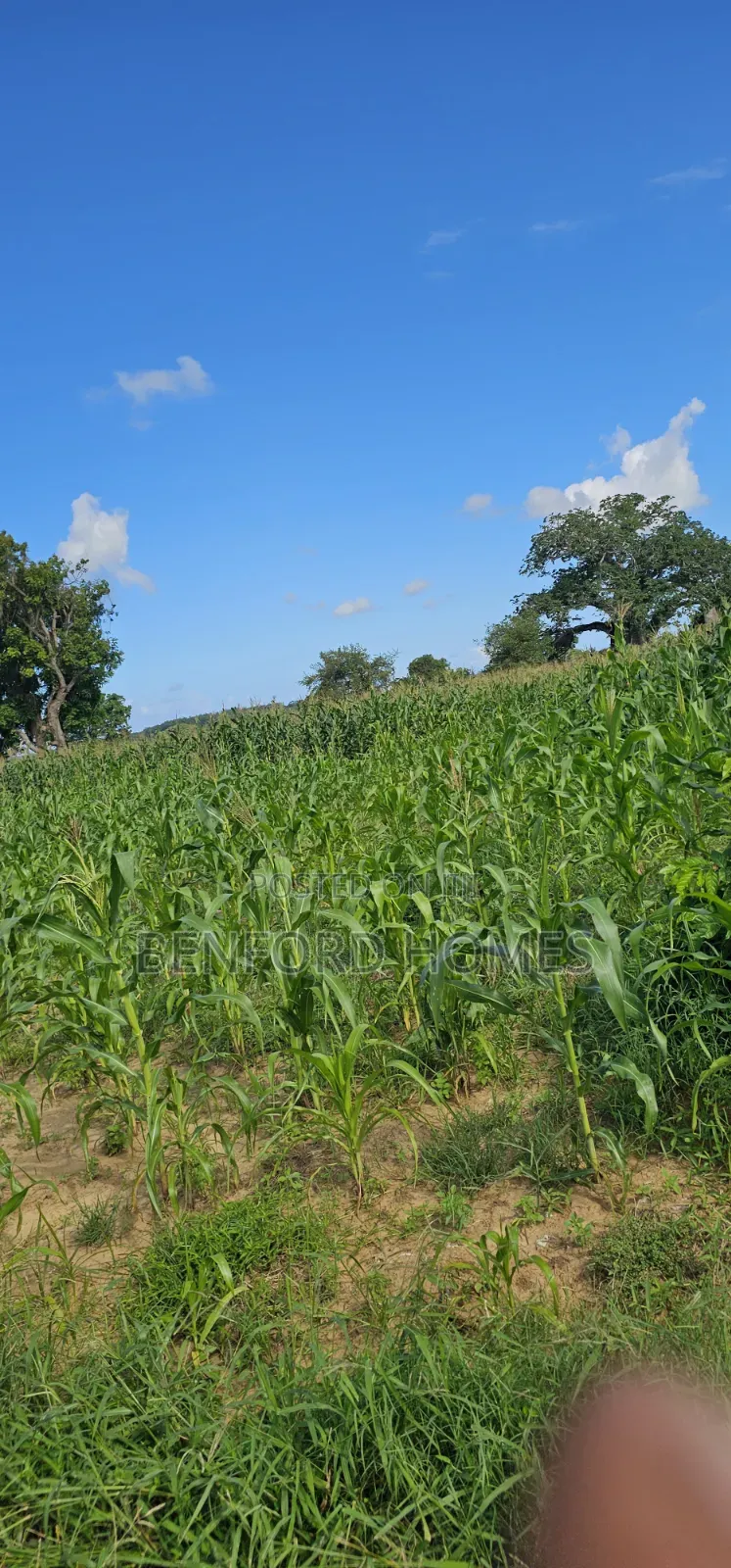 12 Acres Agricultural Land on Sale Mavueni Near Bahari Girls in Kilifi Town