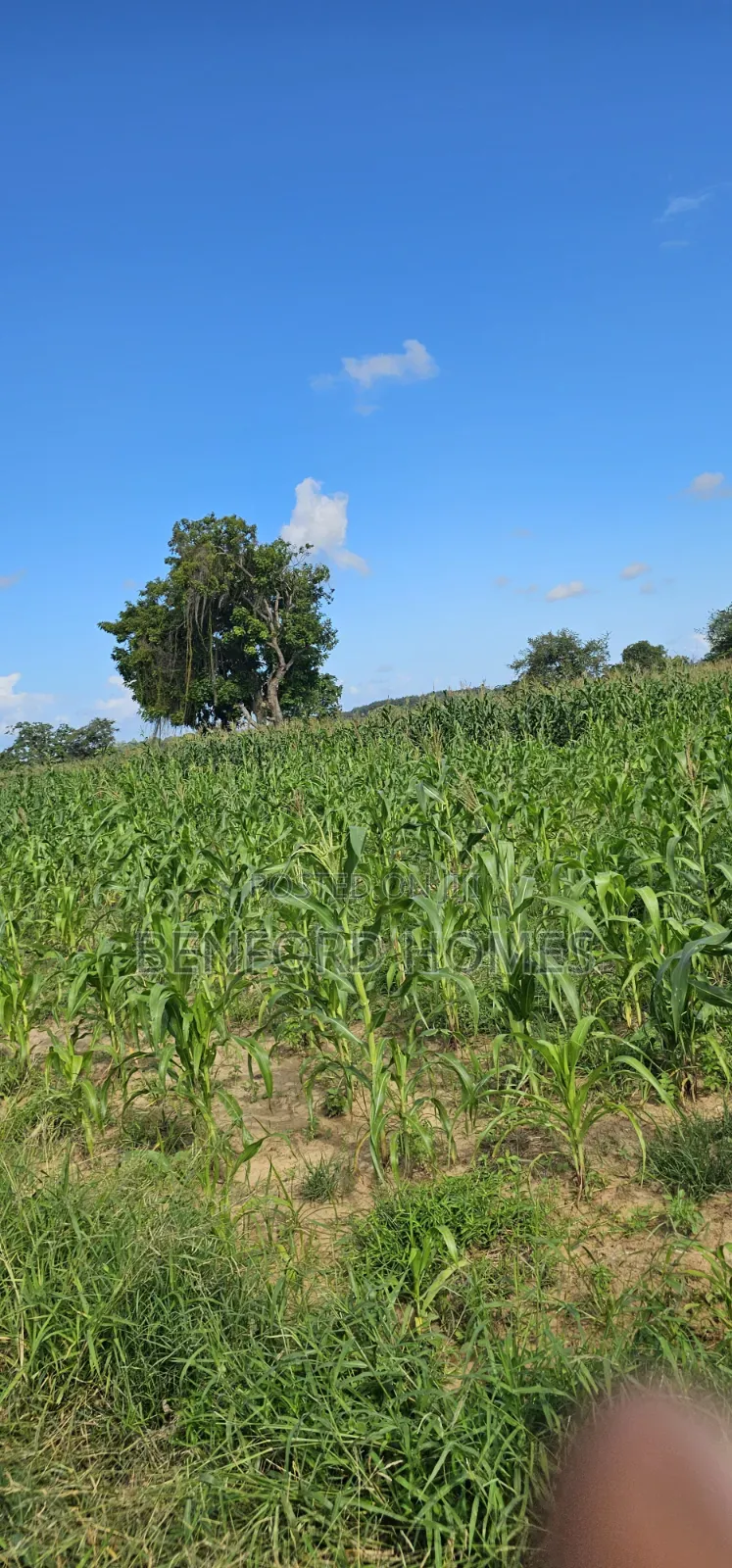 12 Acres Agricultural Land on Sale Mavueni Near Bahari Girls in Kilifi Town