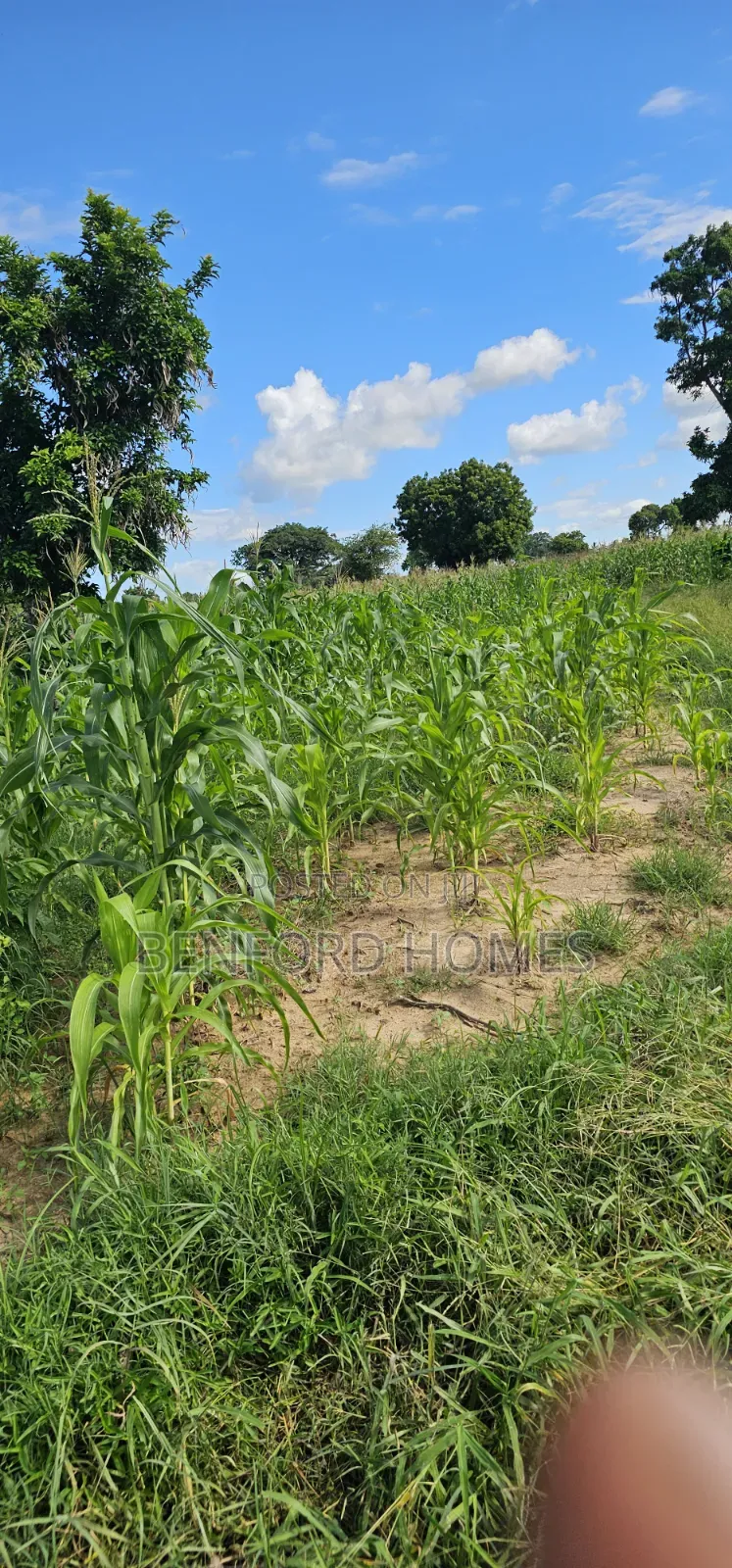 12 Acres Agricultural Land on Sale Mavueni Near Bahari Girls in Kilifi Town