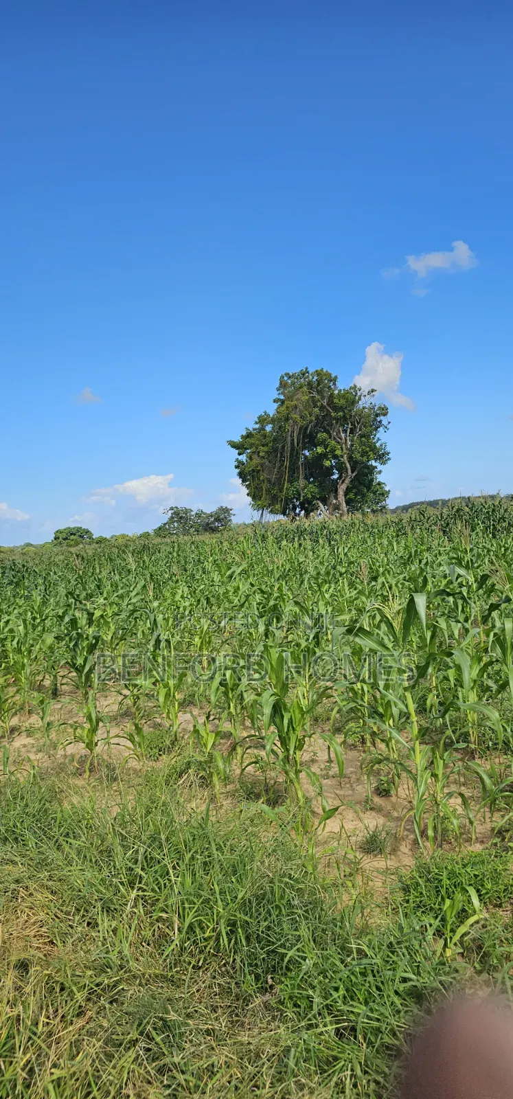 12 Acres Agricultural Land on Sale Mavueni Near Bahari Girls in Kilifi Town