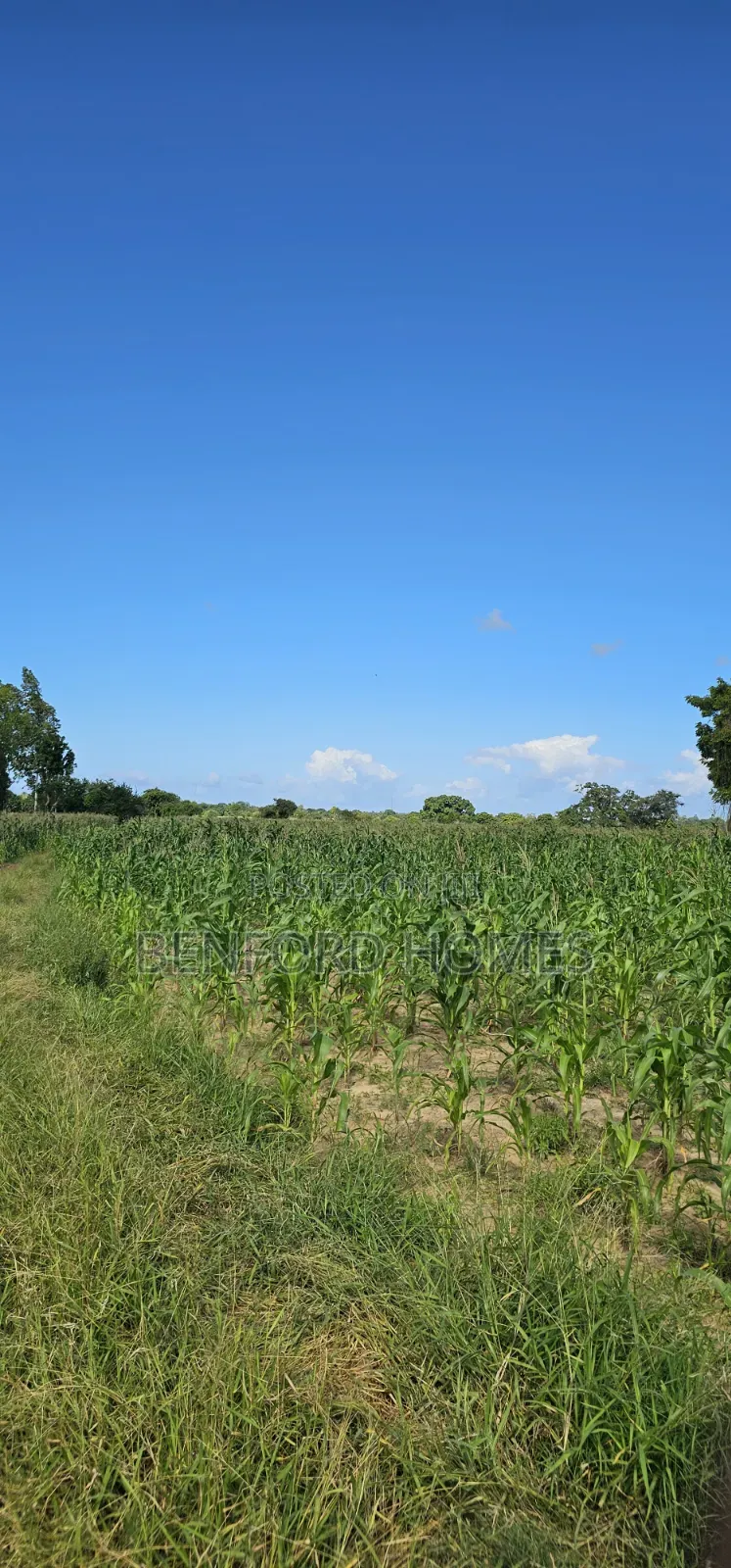 12 Acres Agricultural Land on Sale Mavueni Near Bahari Girls in Kilifi Town